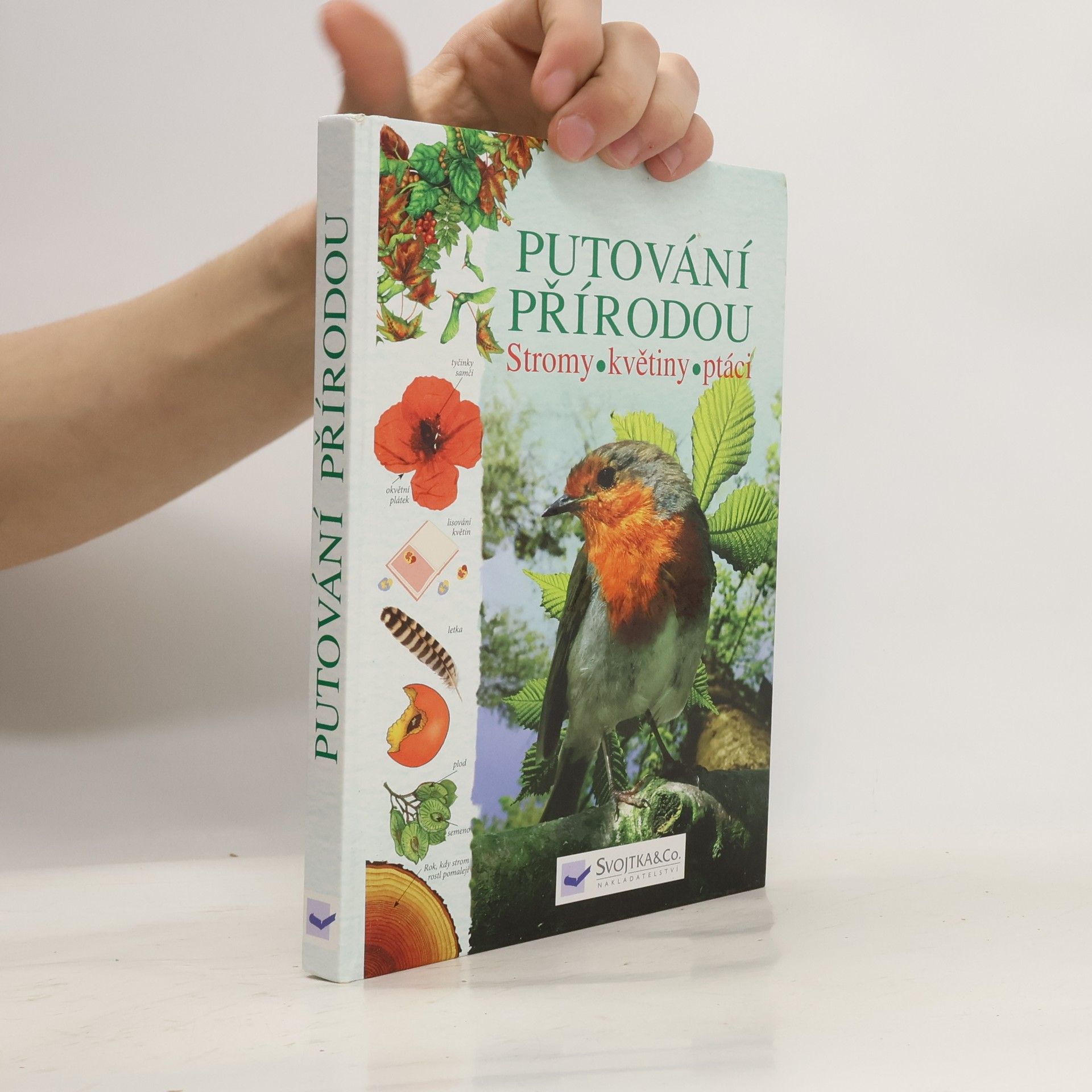 Kolektív autorov Putování přírodou: Stromy, květiny, ptáci
