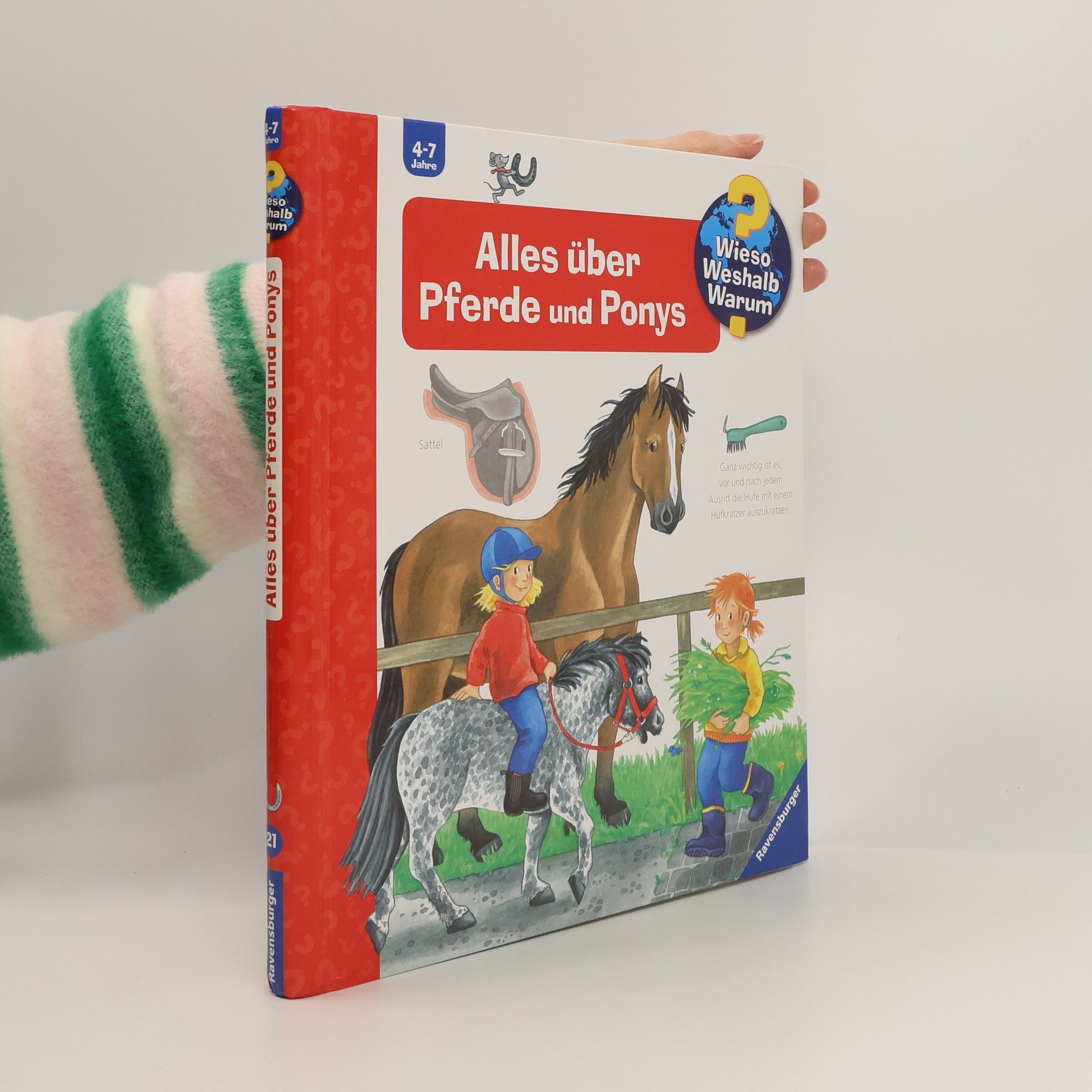 Andrea Erne Alles über Pferde und Ponys