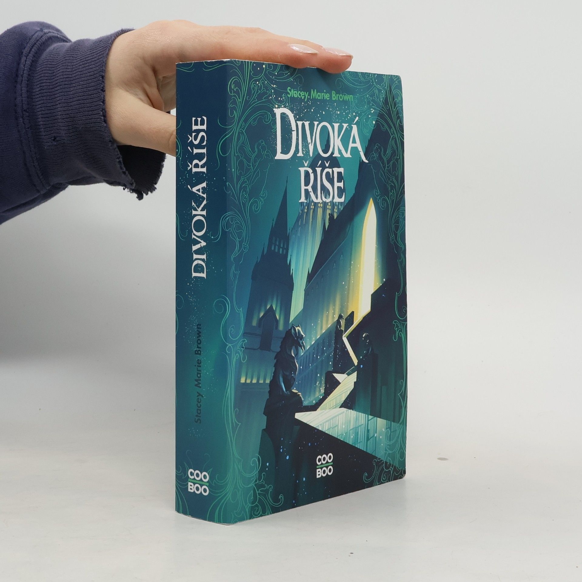 Stacey Marie Brown Divoká říše
