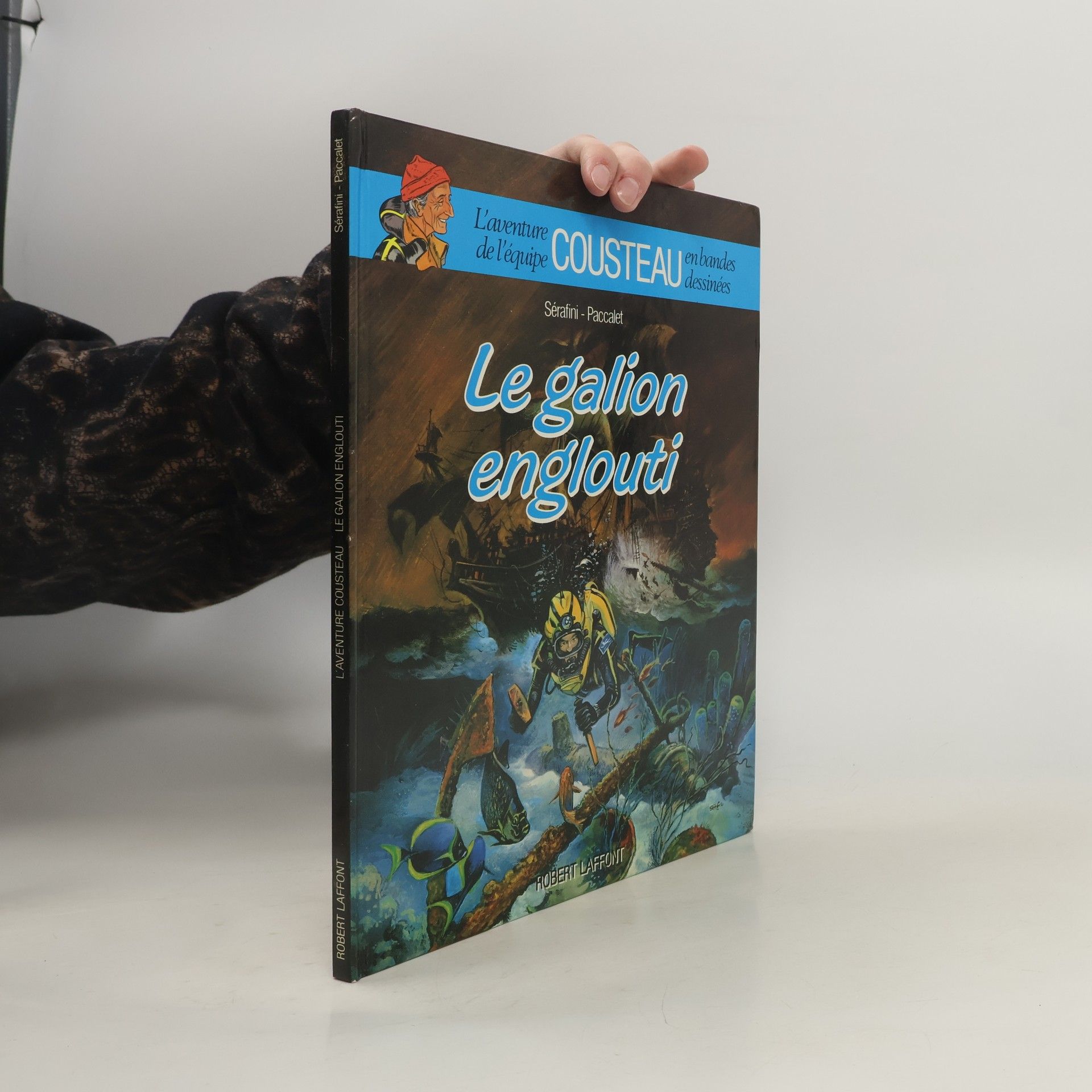 Dominique Sérafini Le galion englouti