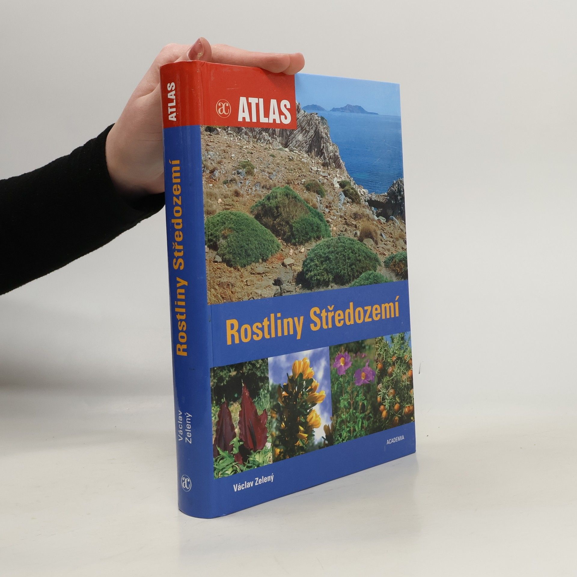 Václav Zelený Rostliny Středozemí