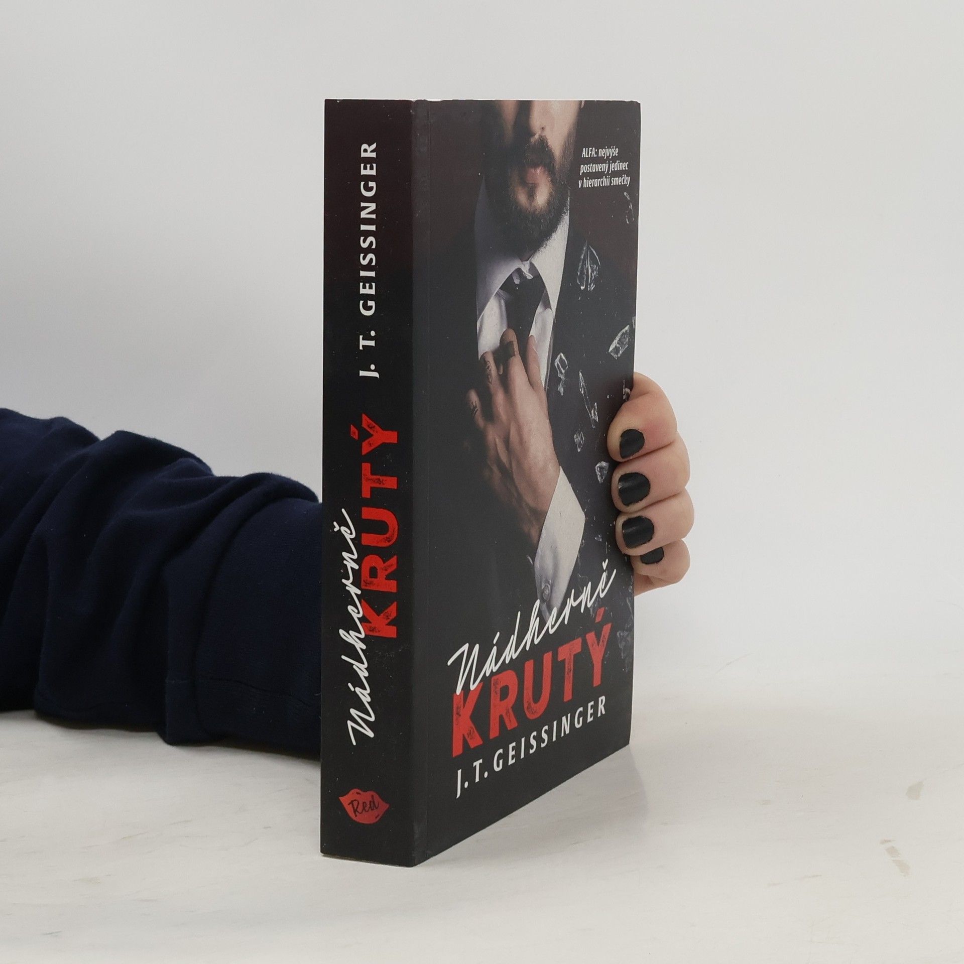 J. T. Geissinger Nádherně krutý