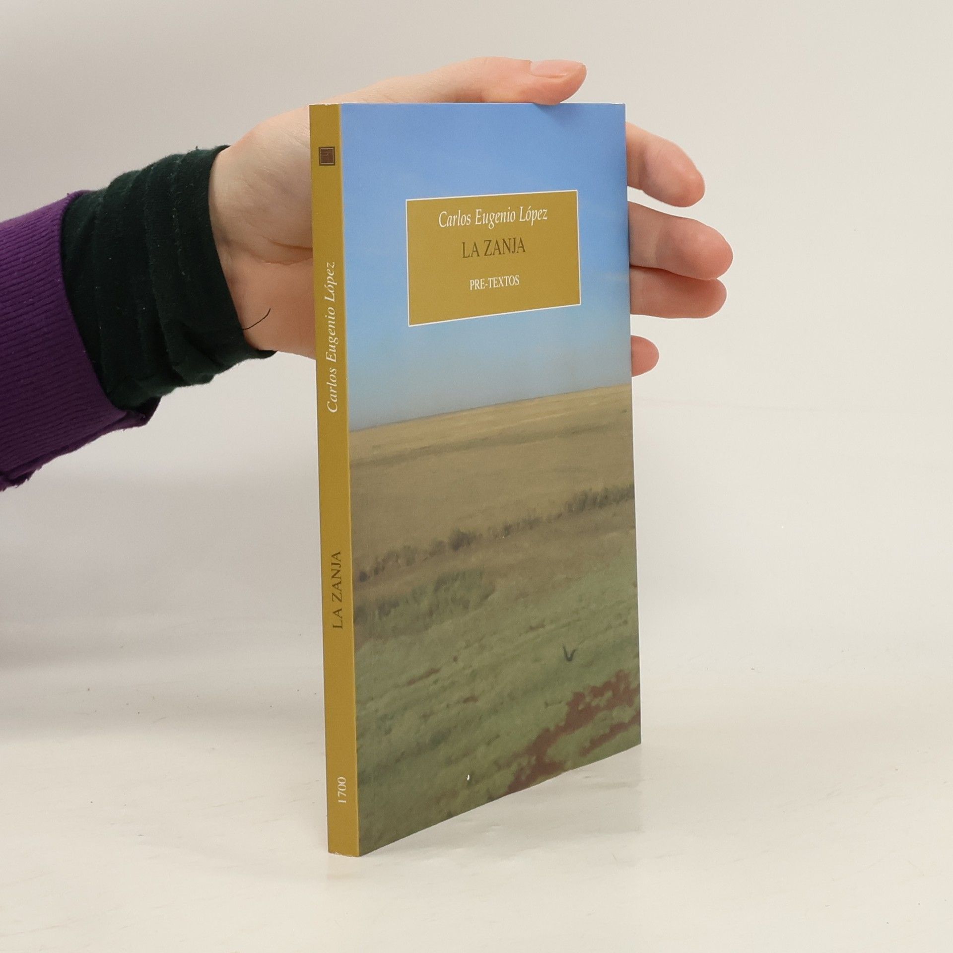 Carlos Eugenio López La zanja