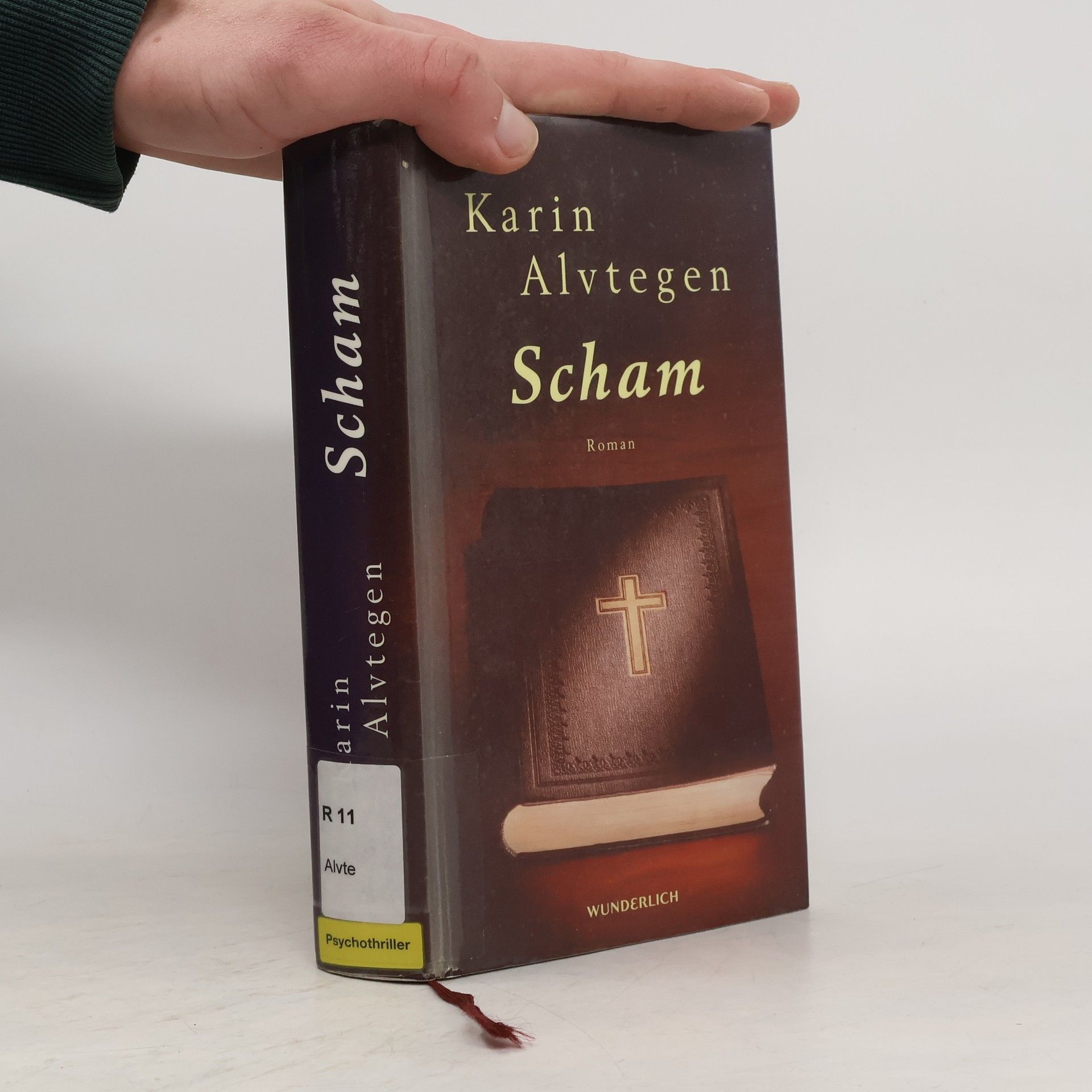 Karin Alvtegen Scham