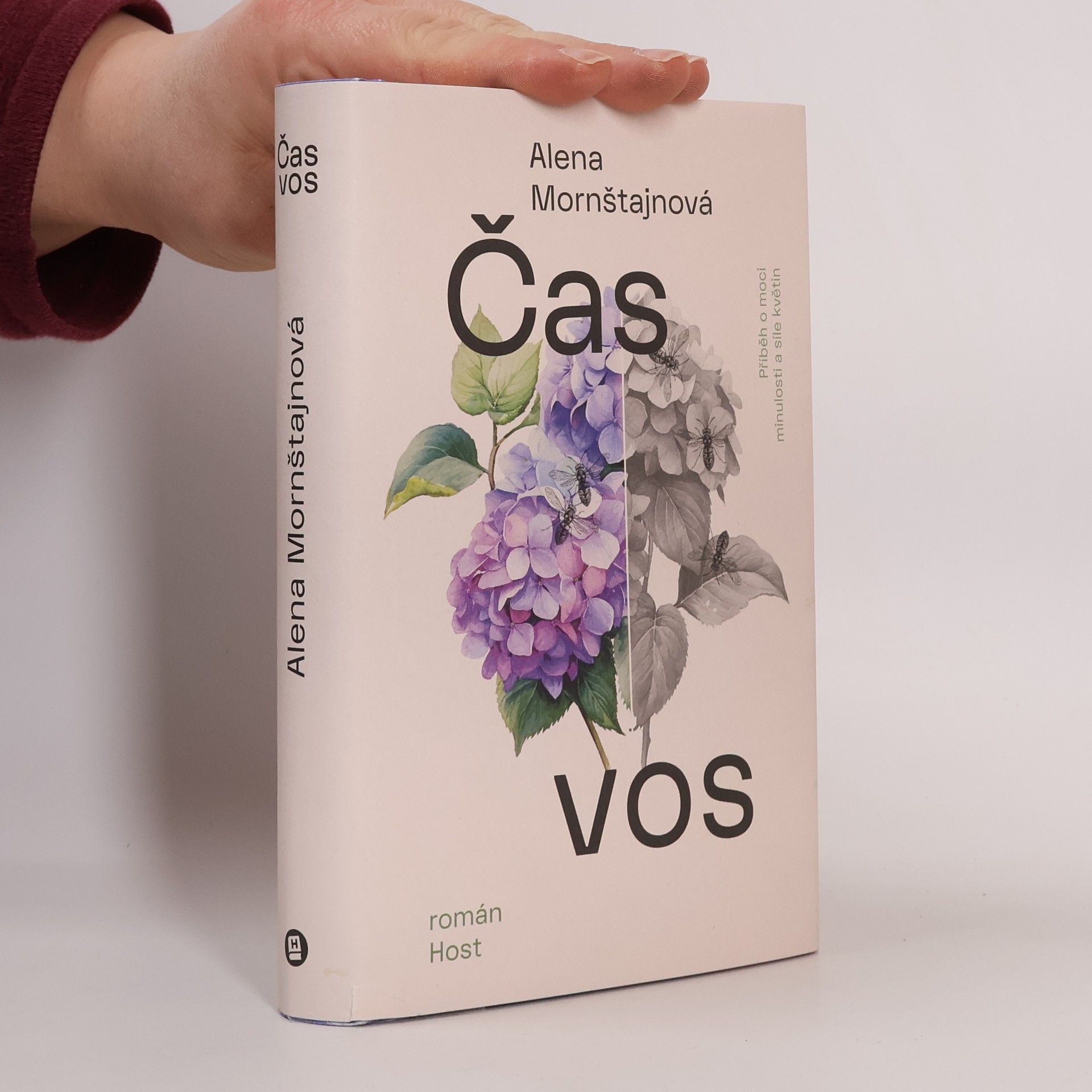 Alena Mornštajnová Čas vos