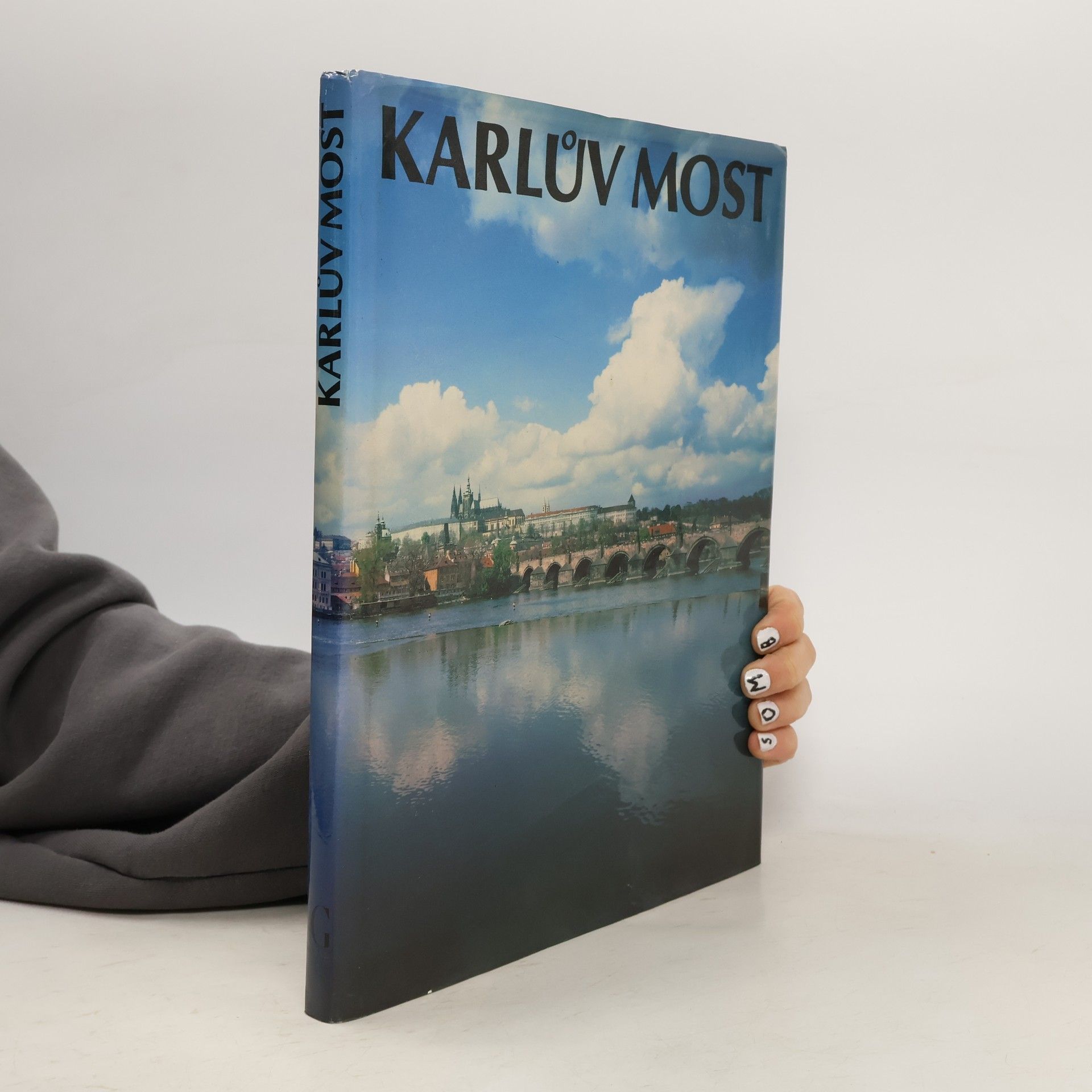 Karel Neubert Karlův most