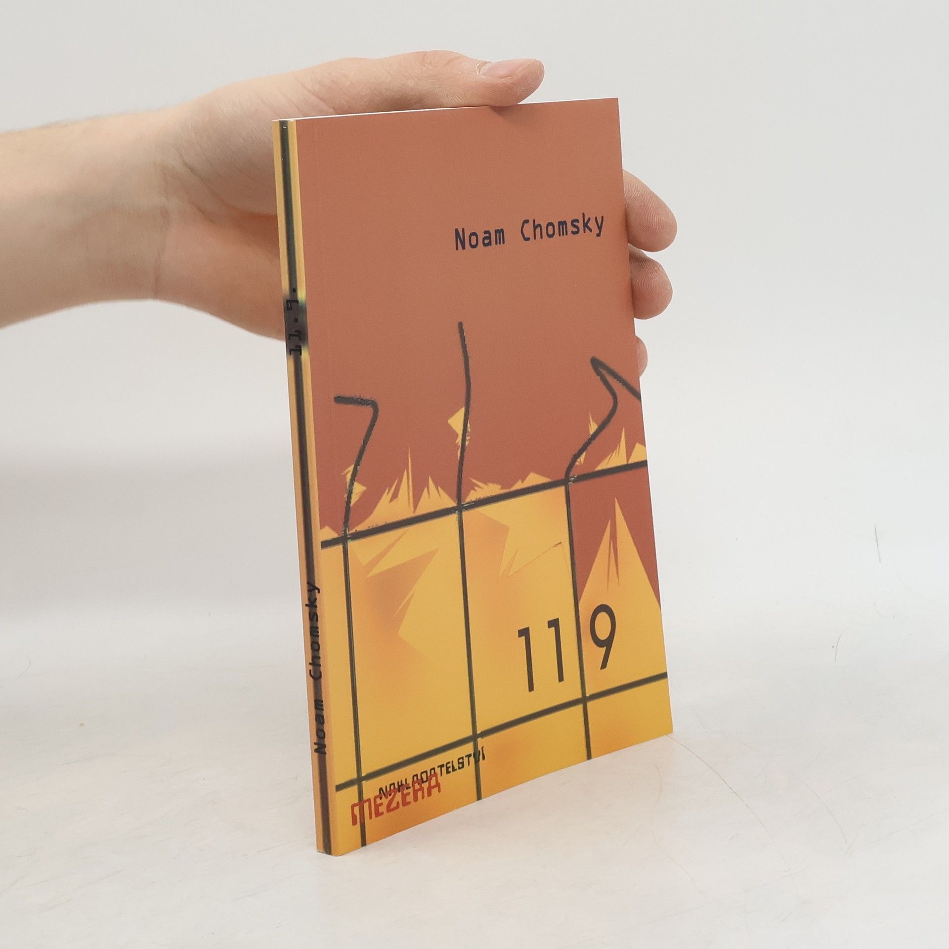 Noam Chomsky Moc a teror