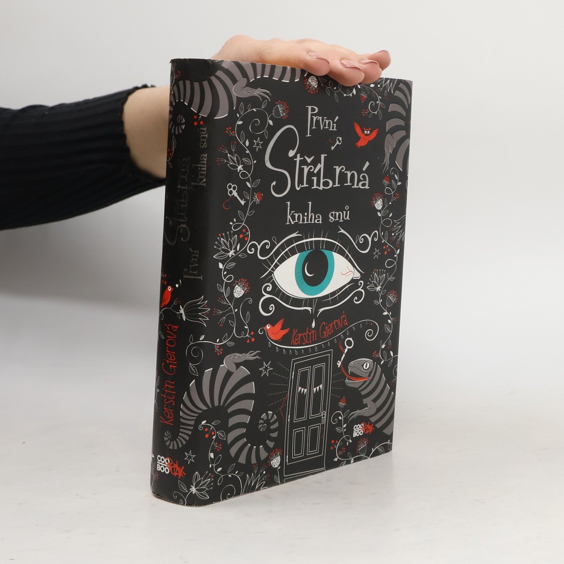 Kerstin Gier První stříbrná kniha snů