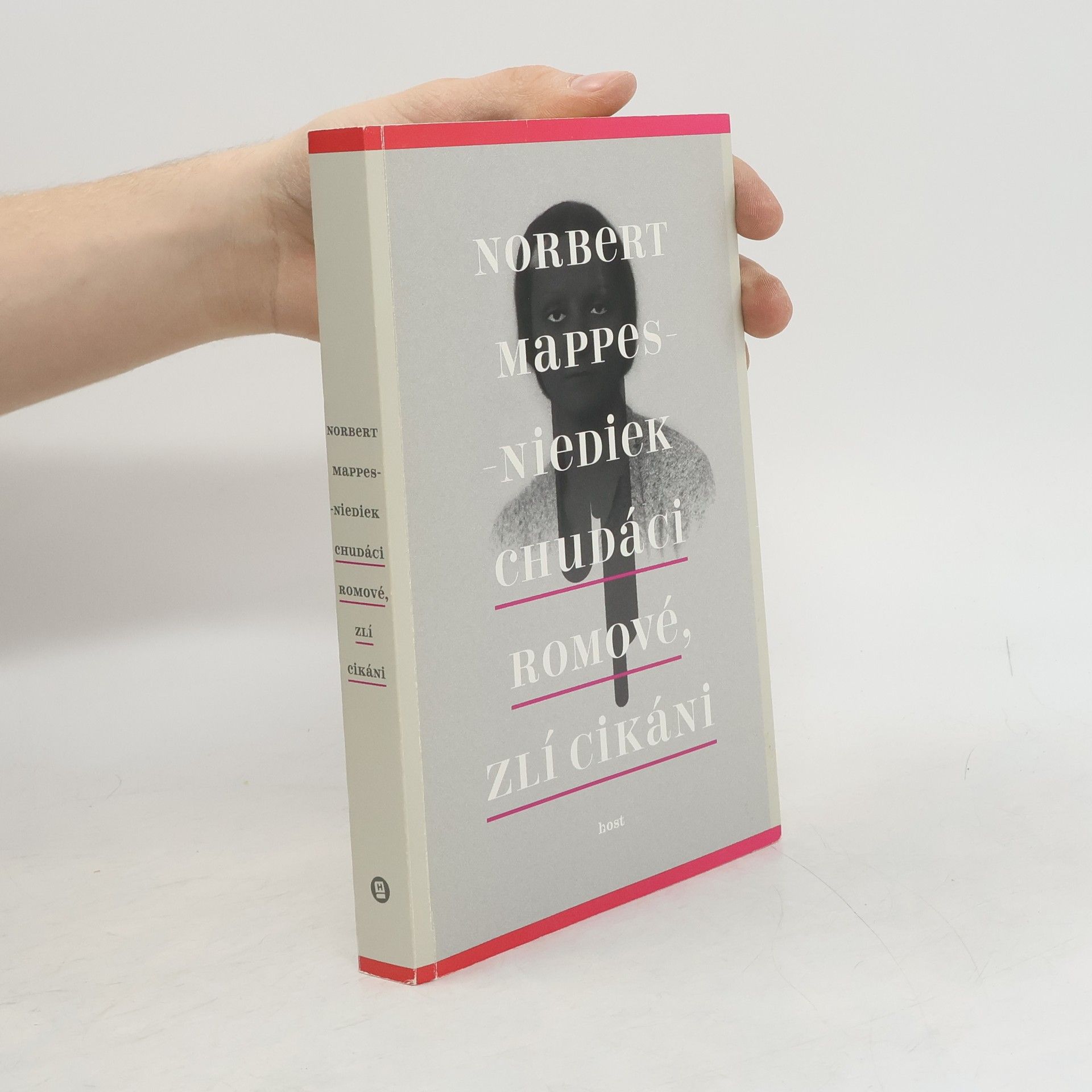 Norbert Mappes-Niediek Chudáci Romové, zlí Cikáni