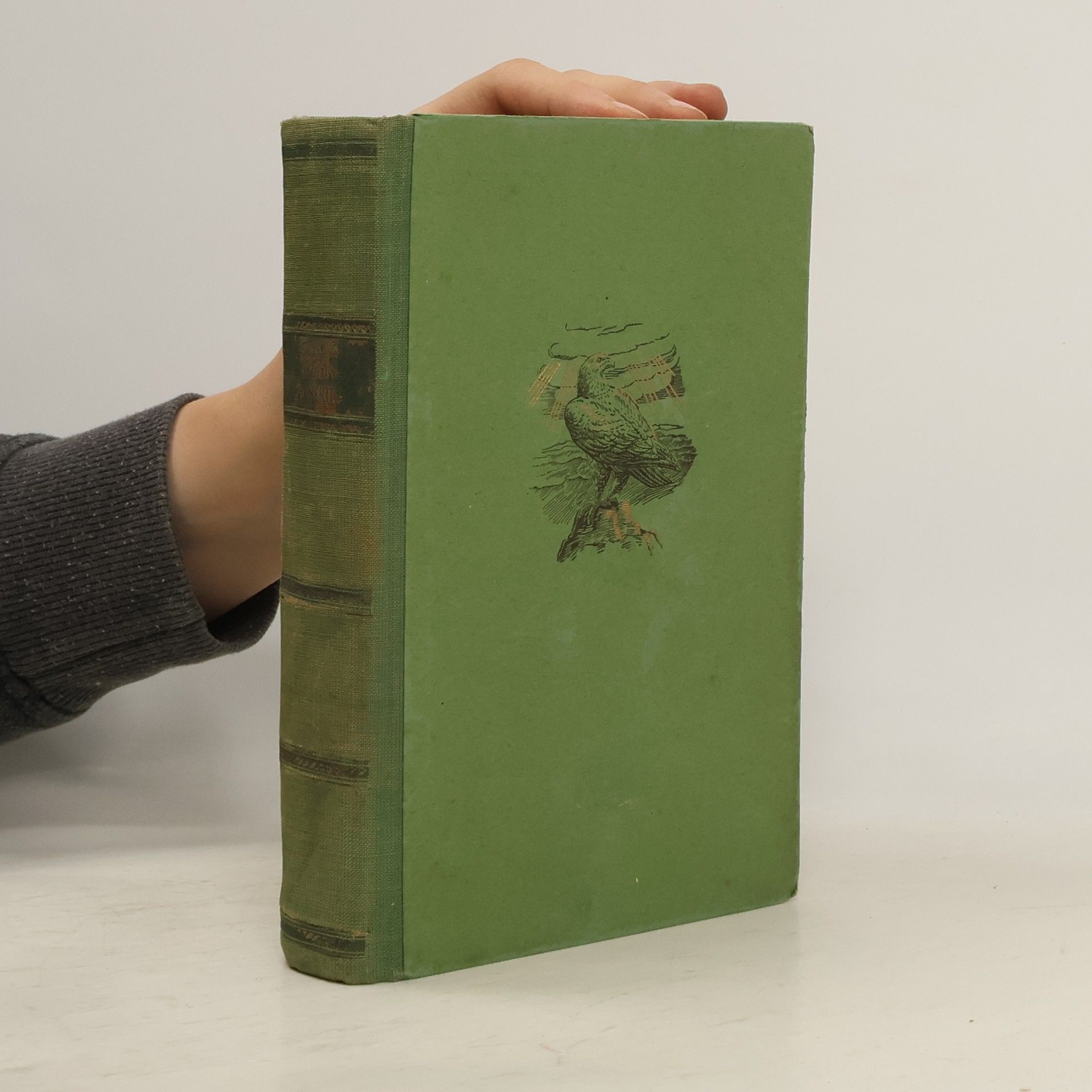 Ganghofer Schloss Hubertus