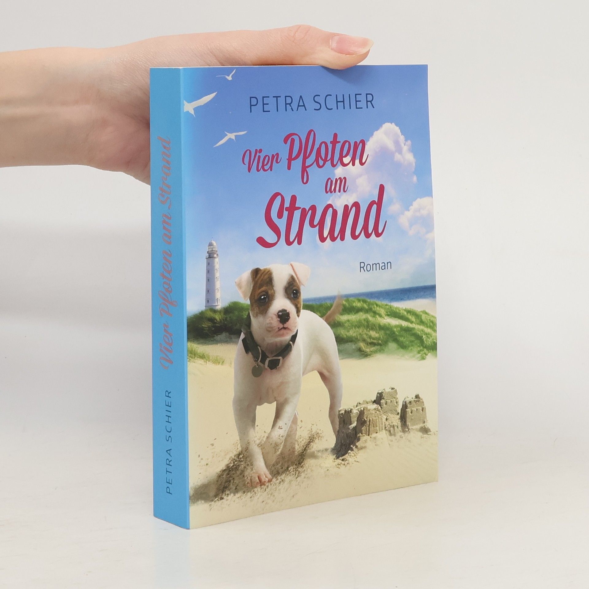 Petra Schier Vier Pfoten am Strand