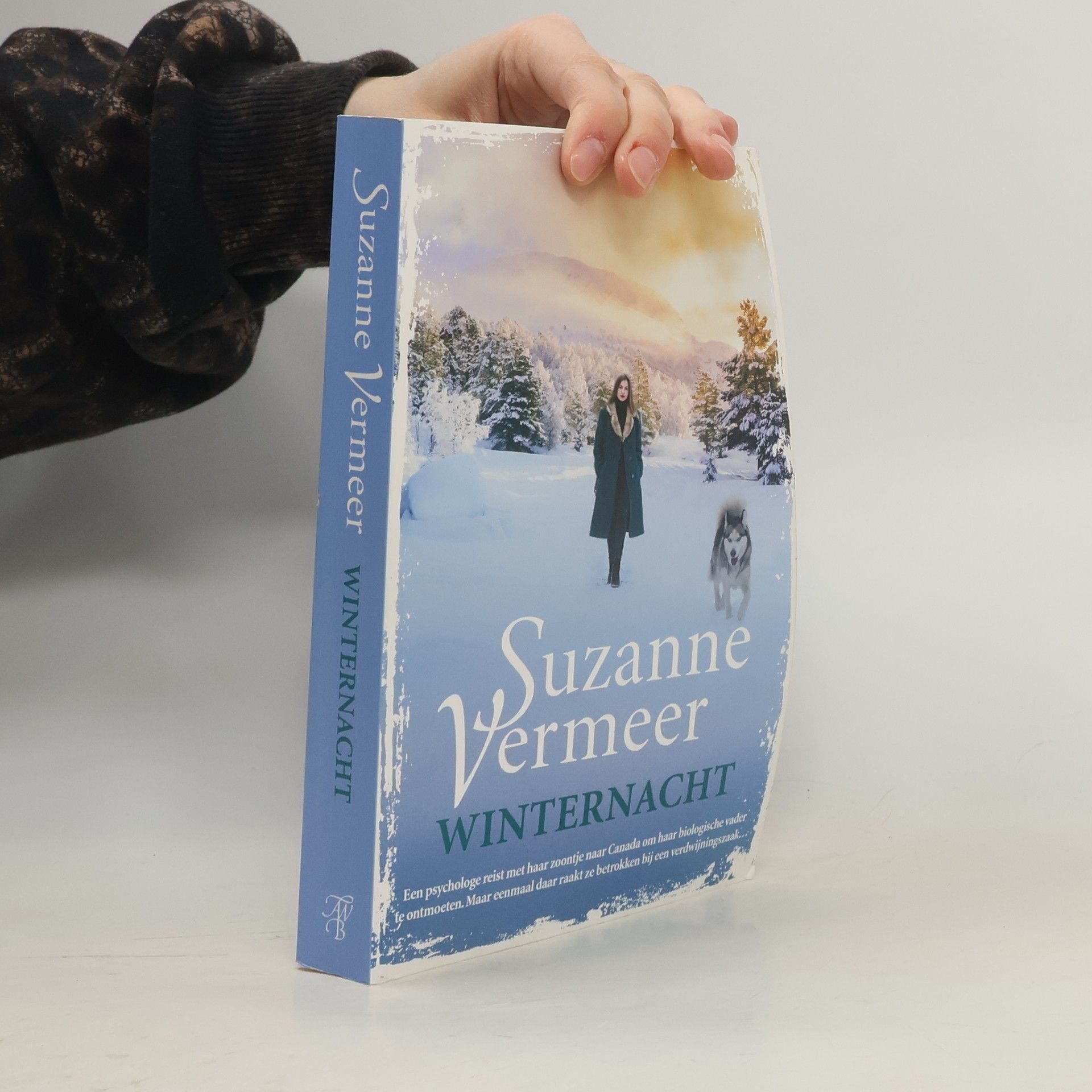 Suzanne Vermeer Winternacht