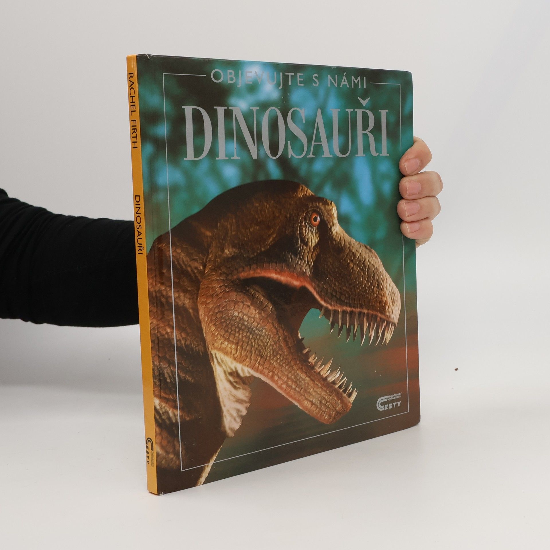 Rachel Firth Dinosauři