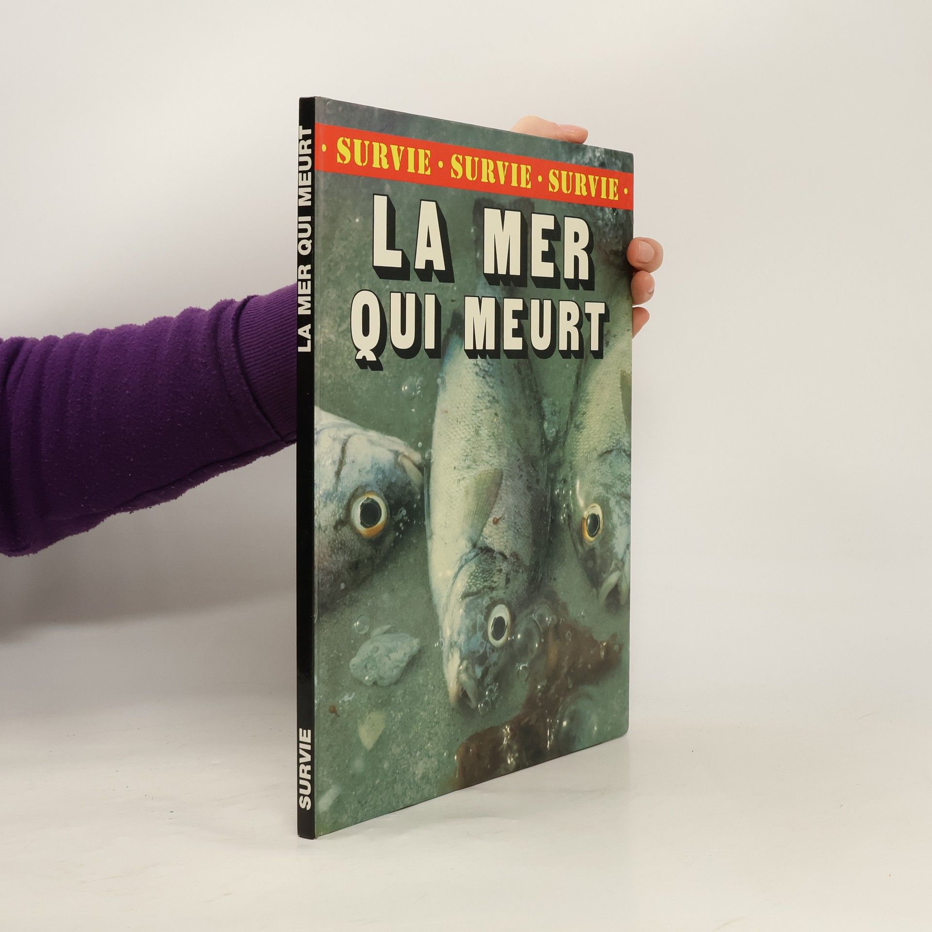 Mer qui meurt survie