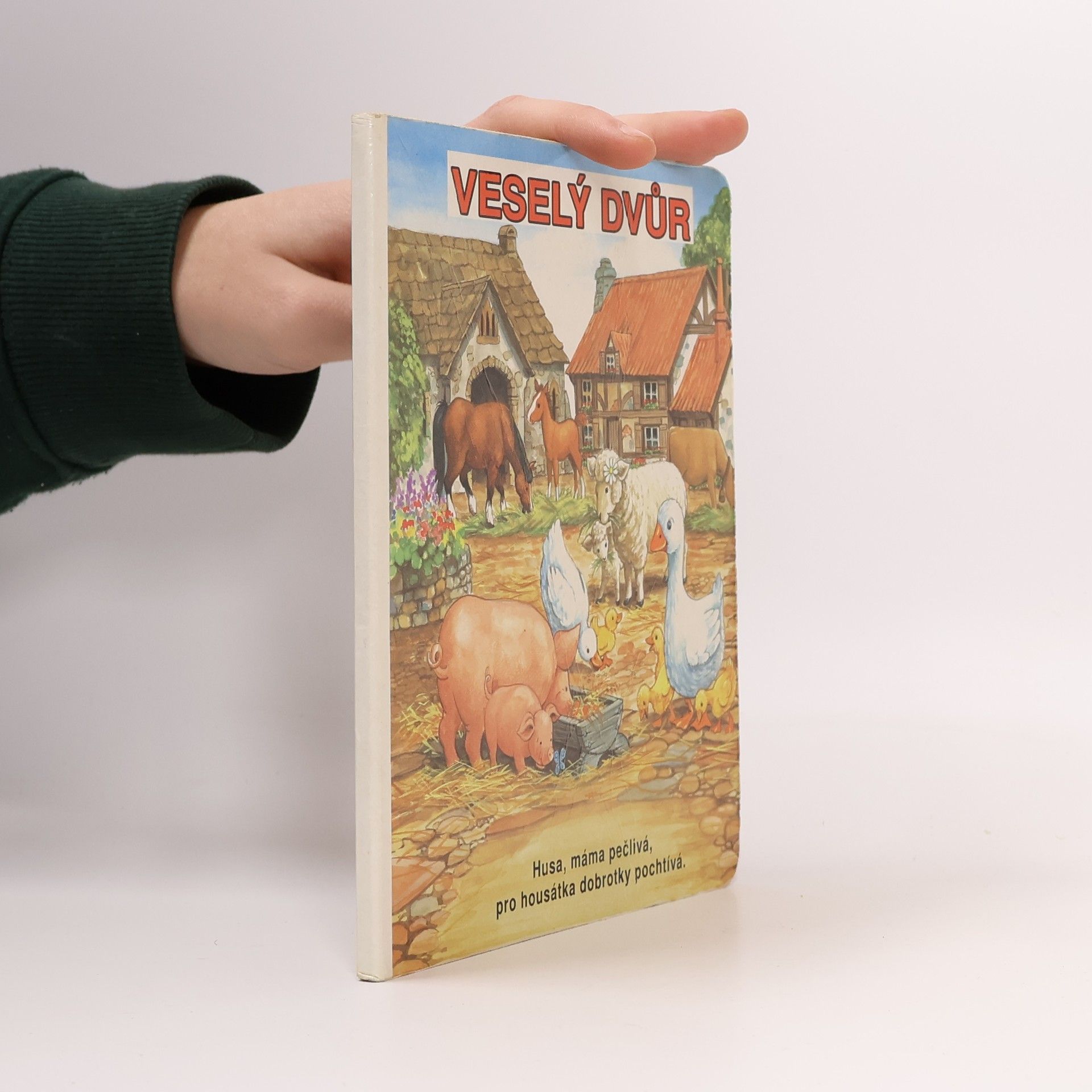 Kolektiv autorů Veselý dvůr