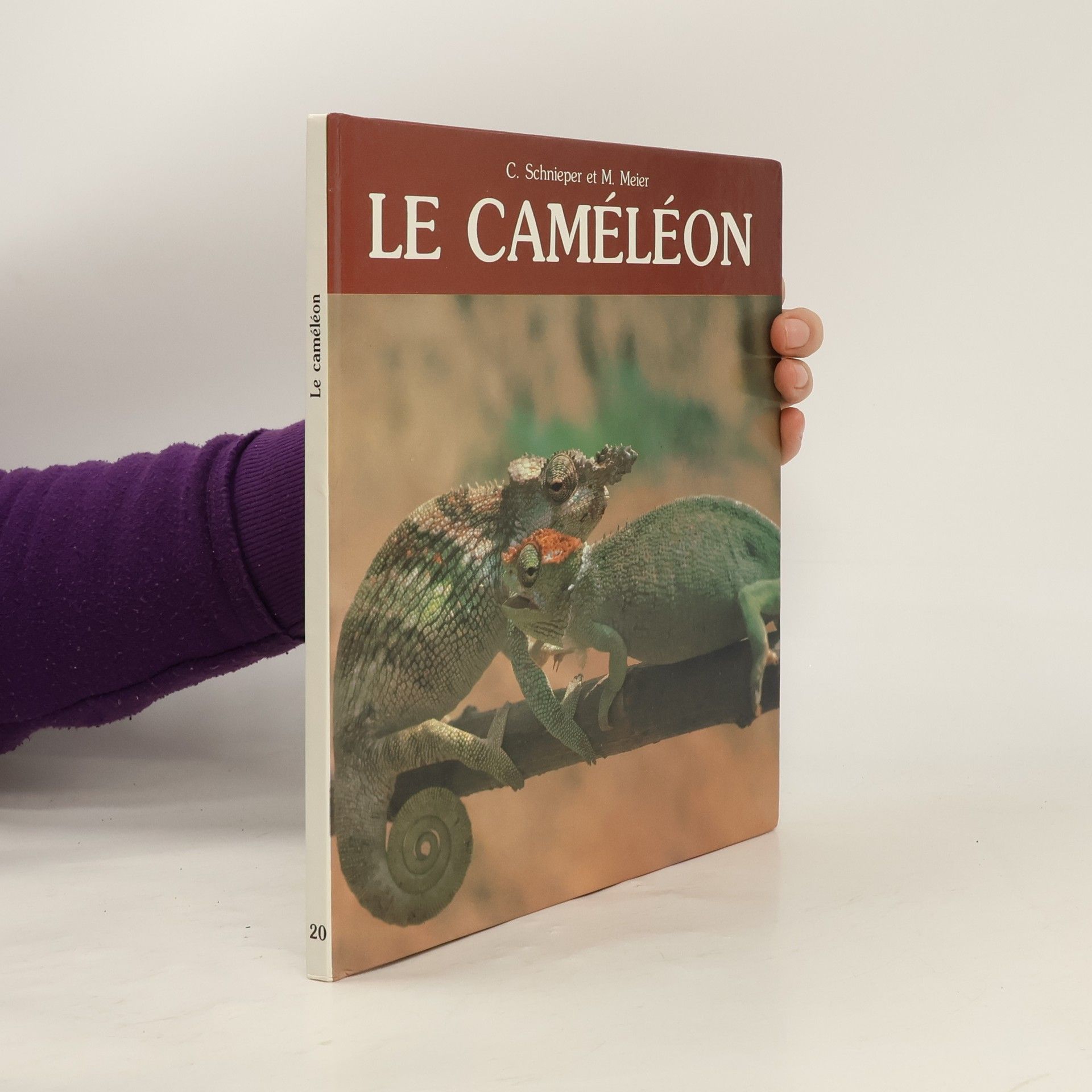 C. Schnieper Le caméléon
