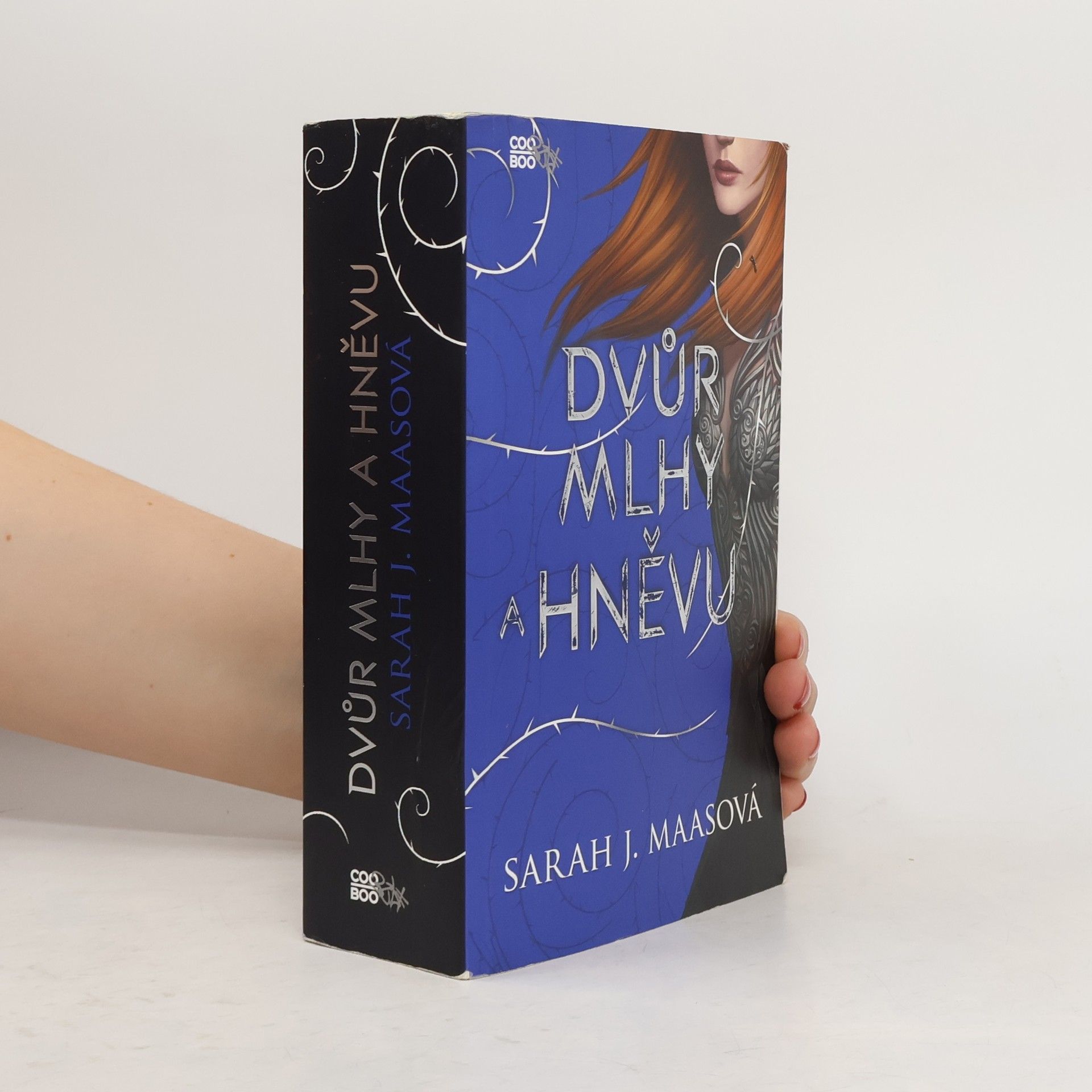 Sarah J. Maas Dvůr mlhy a hněvu