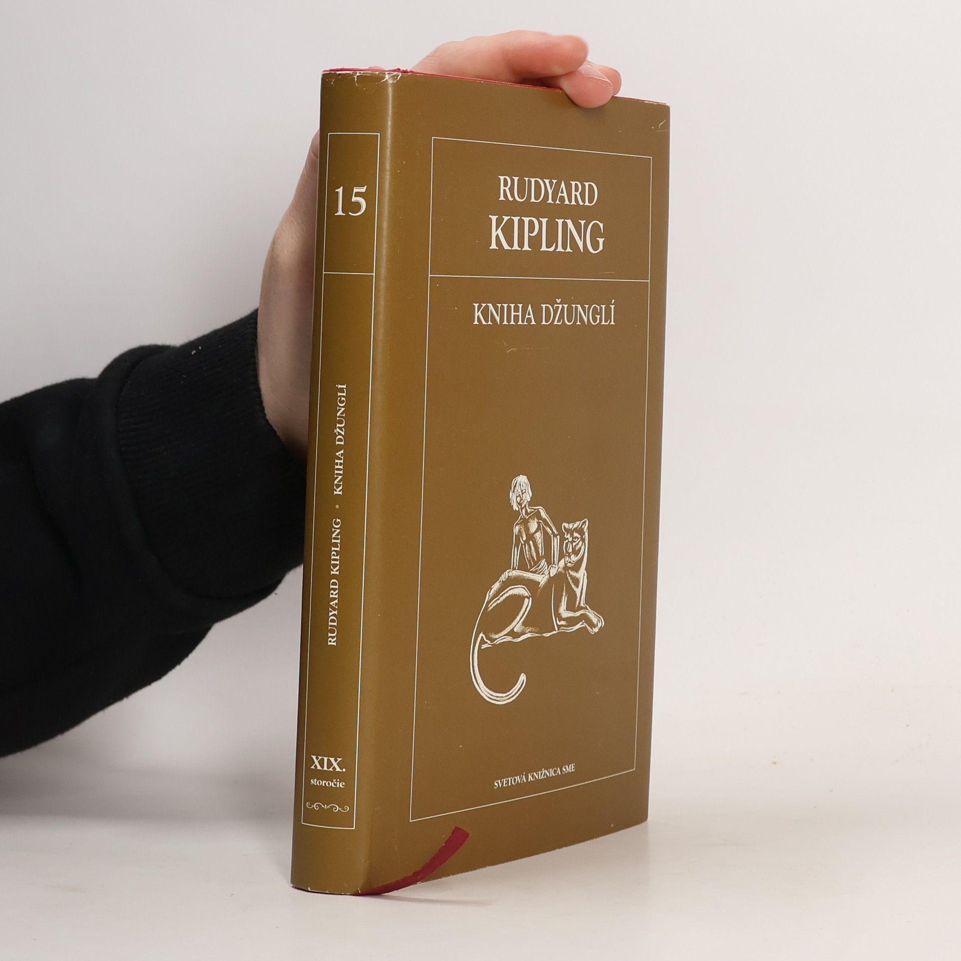 Kniha džunglí