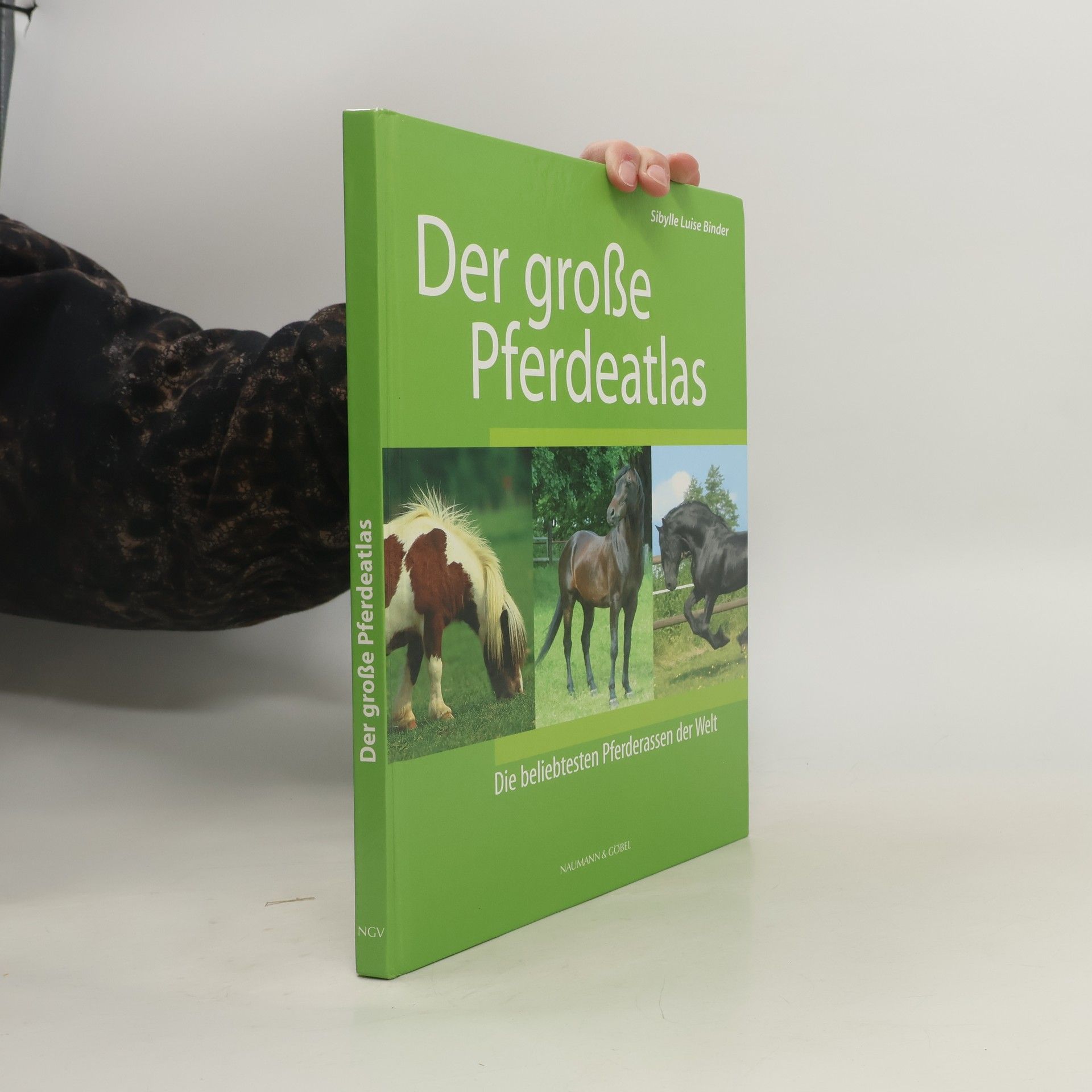 Sibylle Luise Binder Der grosse Pferdeatlas