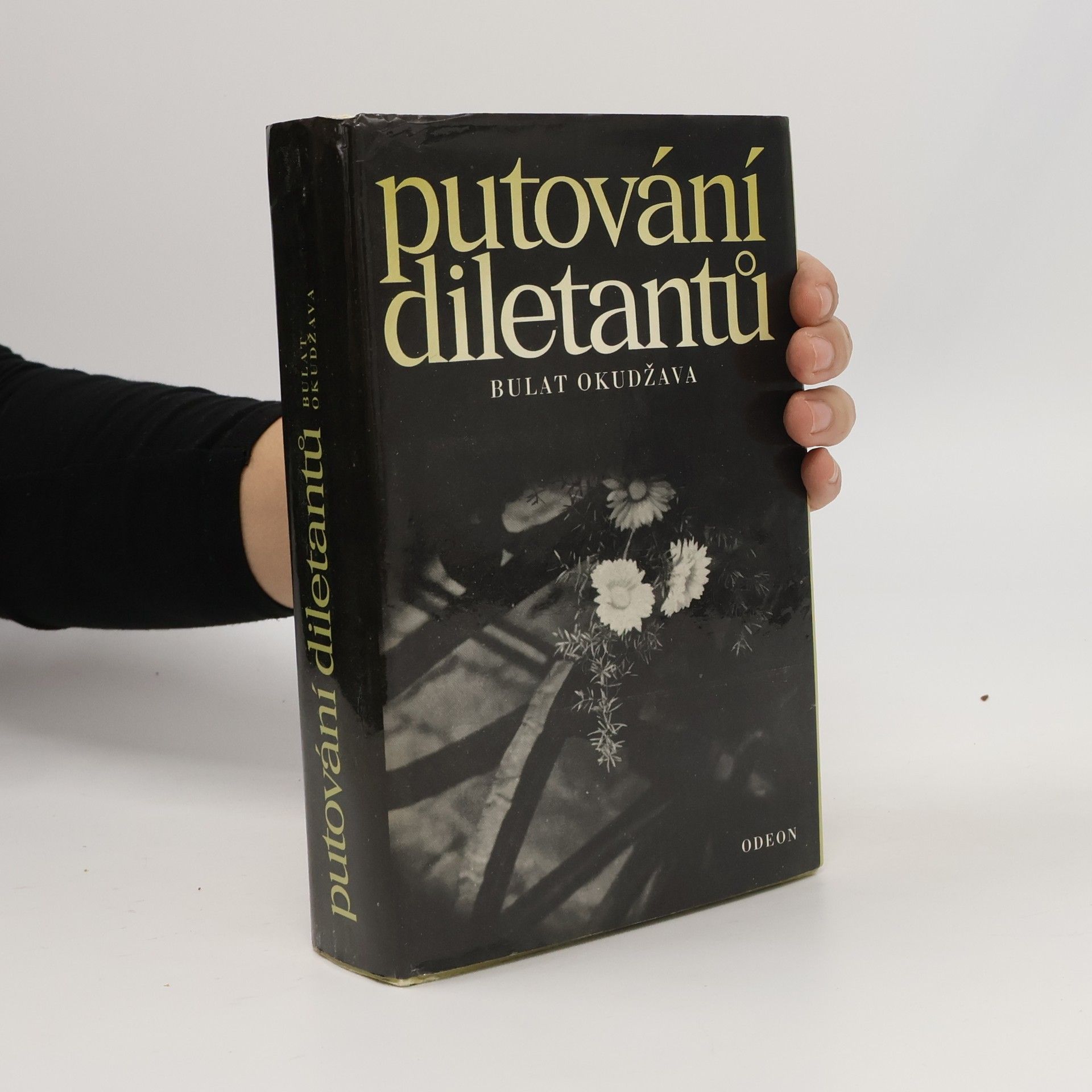 Bulat Schalwowitsch Okudschawa Putování diletantů