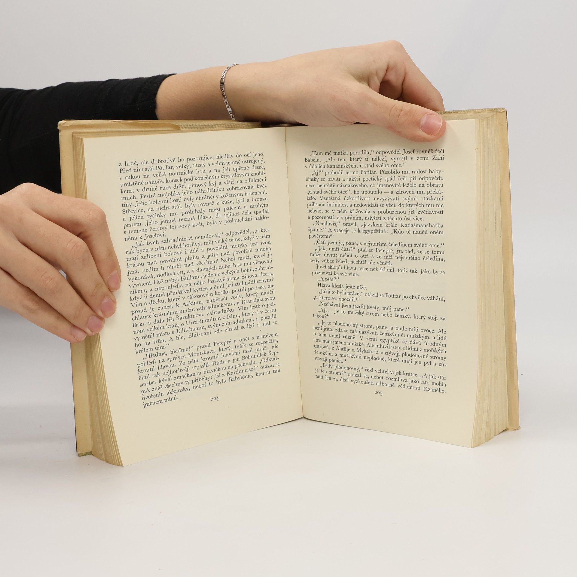 Thomas Mann Josef a bratří jeho II.