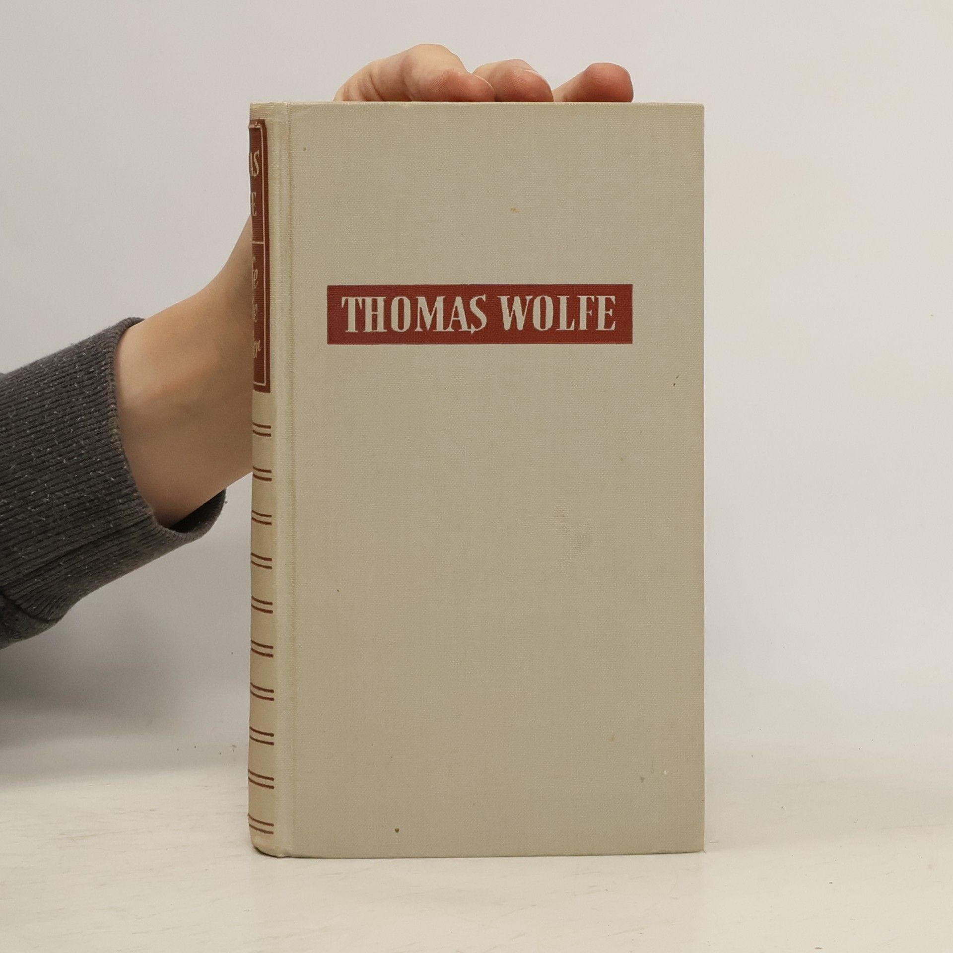 Thomas Wolfe Briefe an die Mutter