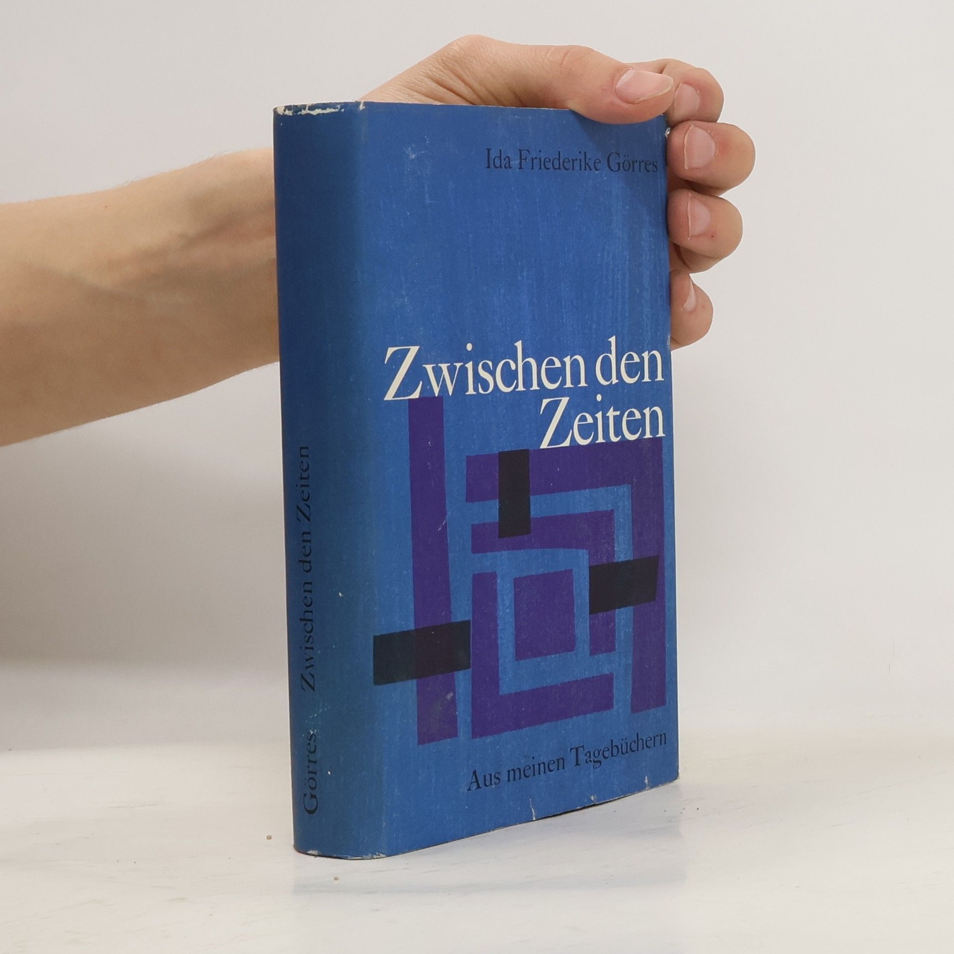 Ida Friederike Görres Zwischen den Zeiten