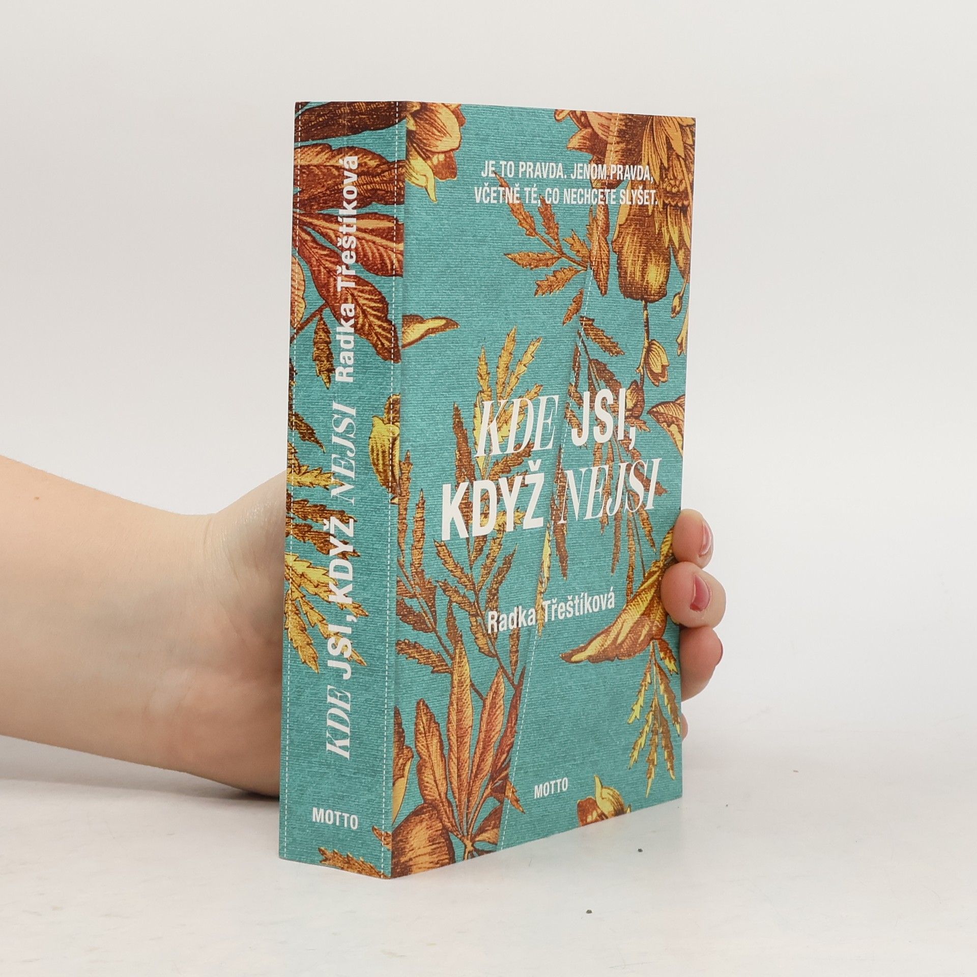 Radka Třeštíková Kde jsi, když nejsi