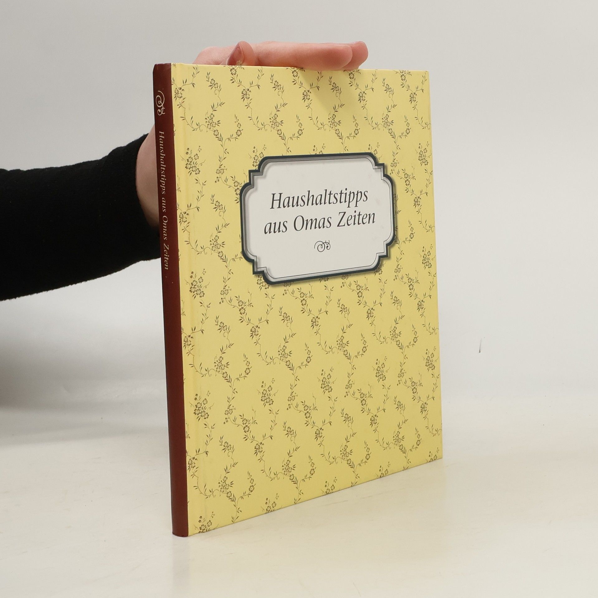 Autorenkollektiv Haushaltstipps aus Omas Zeiten