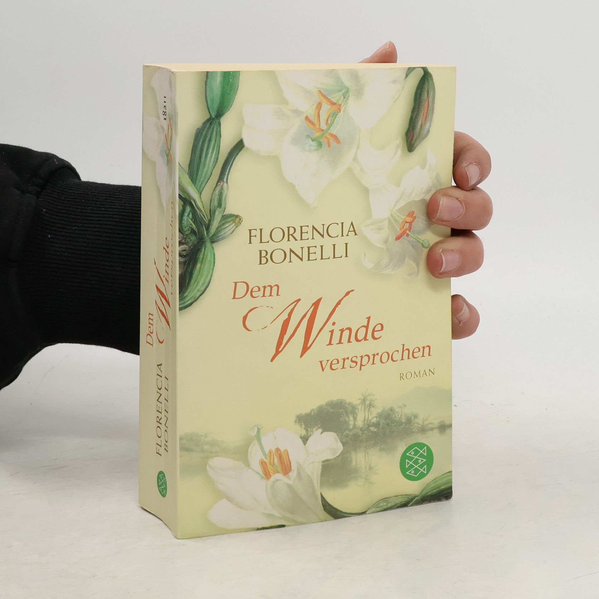 Florencia Bonelli Dem Winde versprochen