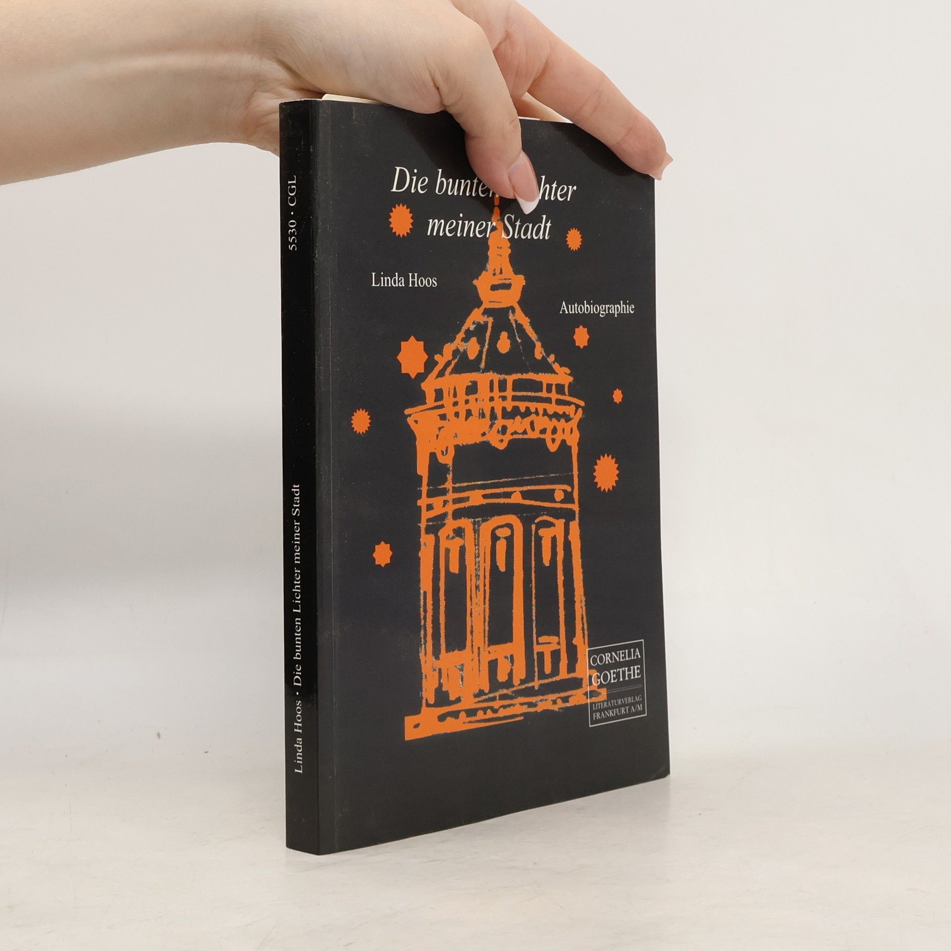 Linda Hoos Die bunten Lichter meiner Stadt
