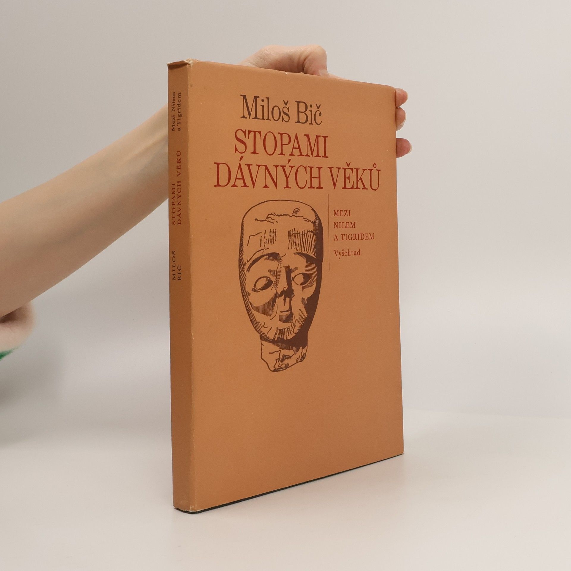 Stopami dávných věků