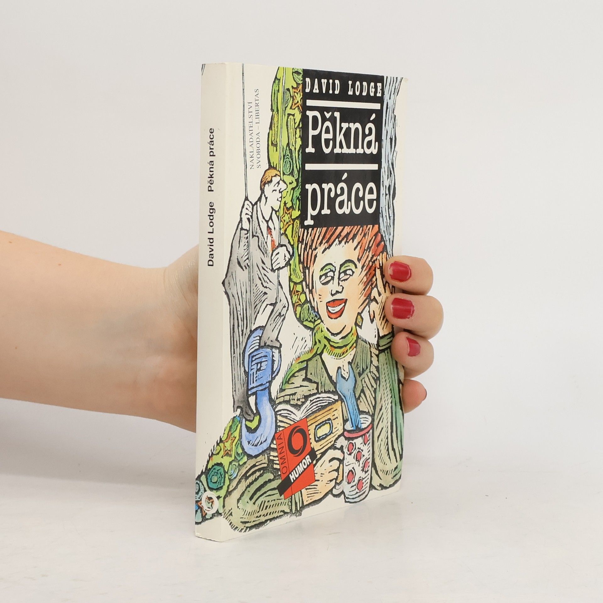 David Lodge Pěkná práce