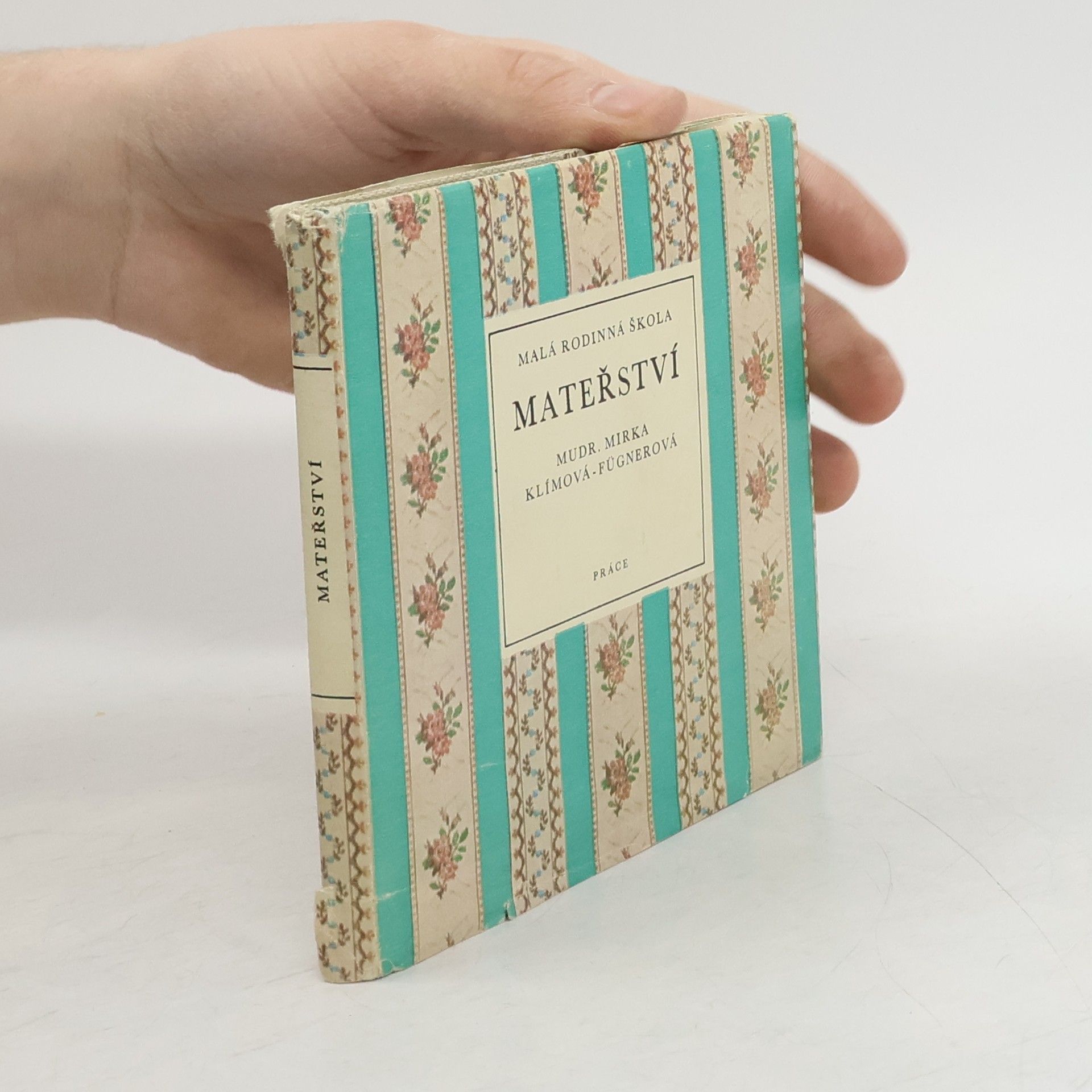 Miroslava Klímová Fügnerová Malá rodinná škola mateřství