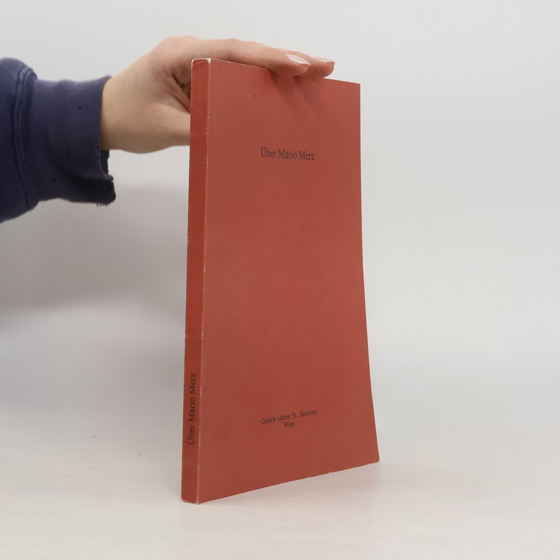 Autorenkollektiv Über Mario Merz