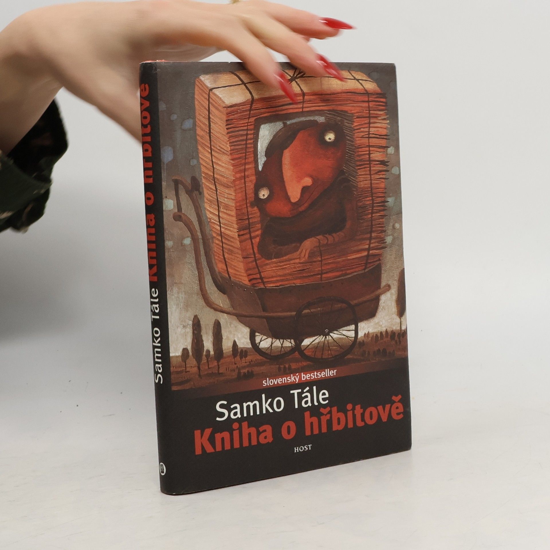 Daniela Kapitáňová Kniha o hřbitově