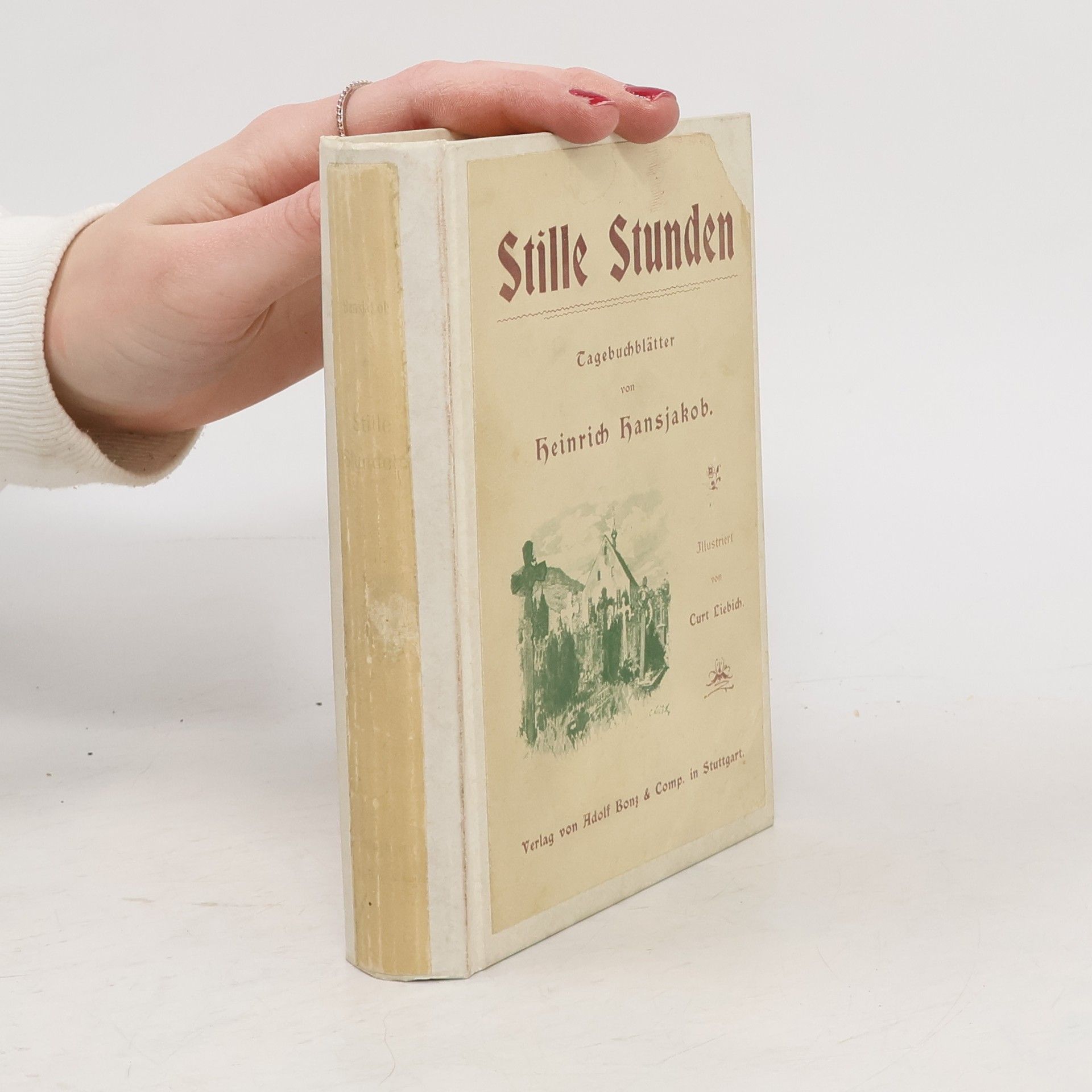 Heinrich Hansjakob Stille Stunden