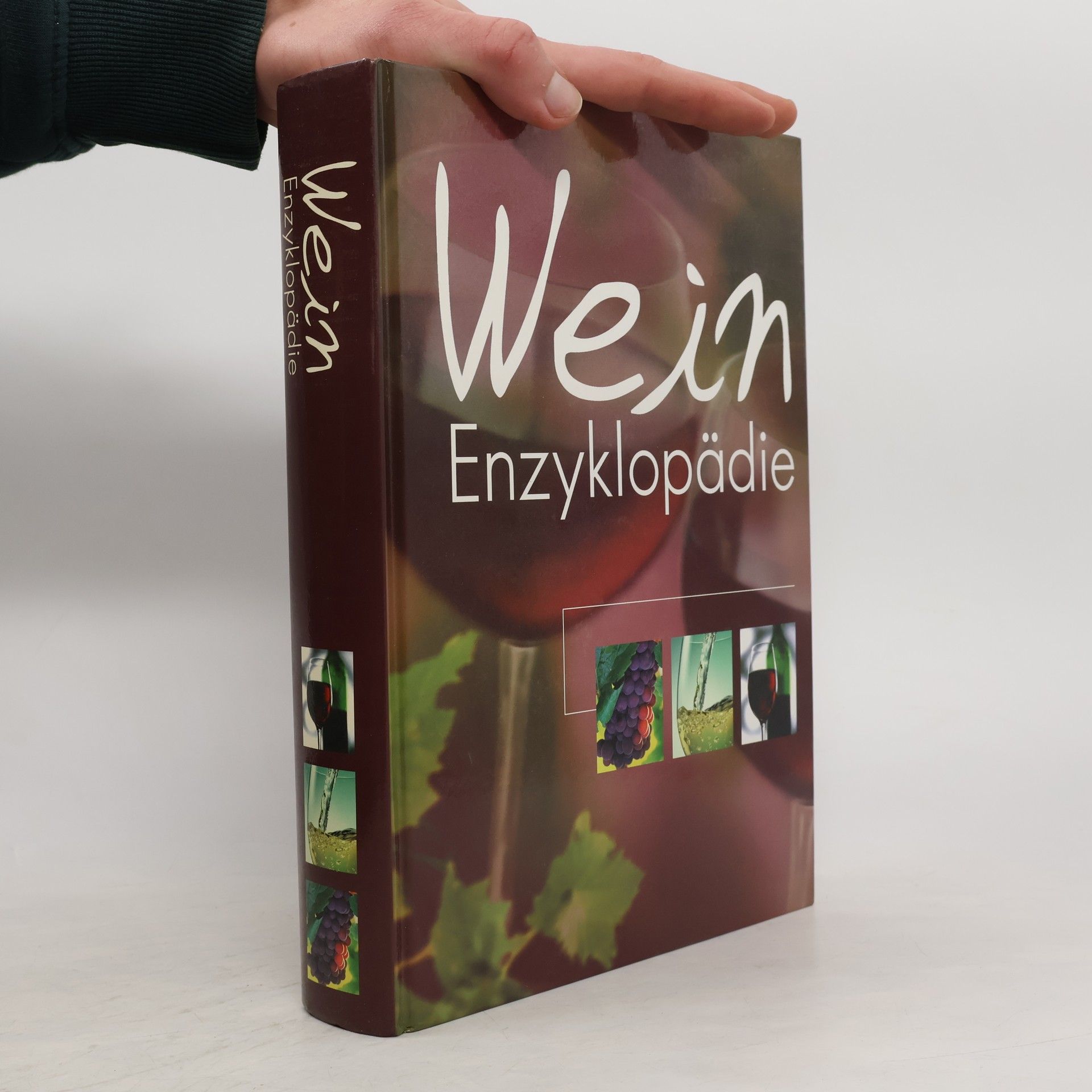 Autorenkollektiv Wein Enzyklopädie