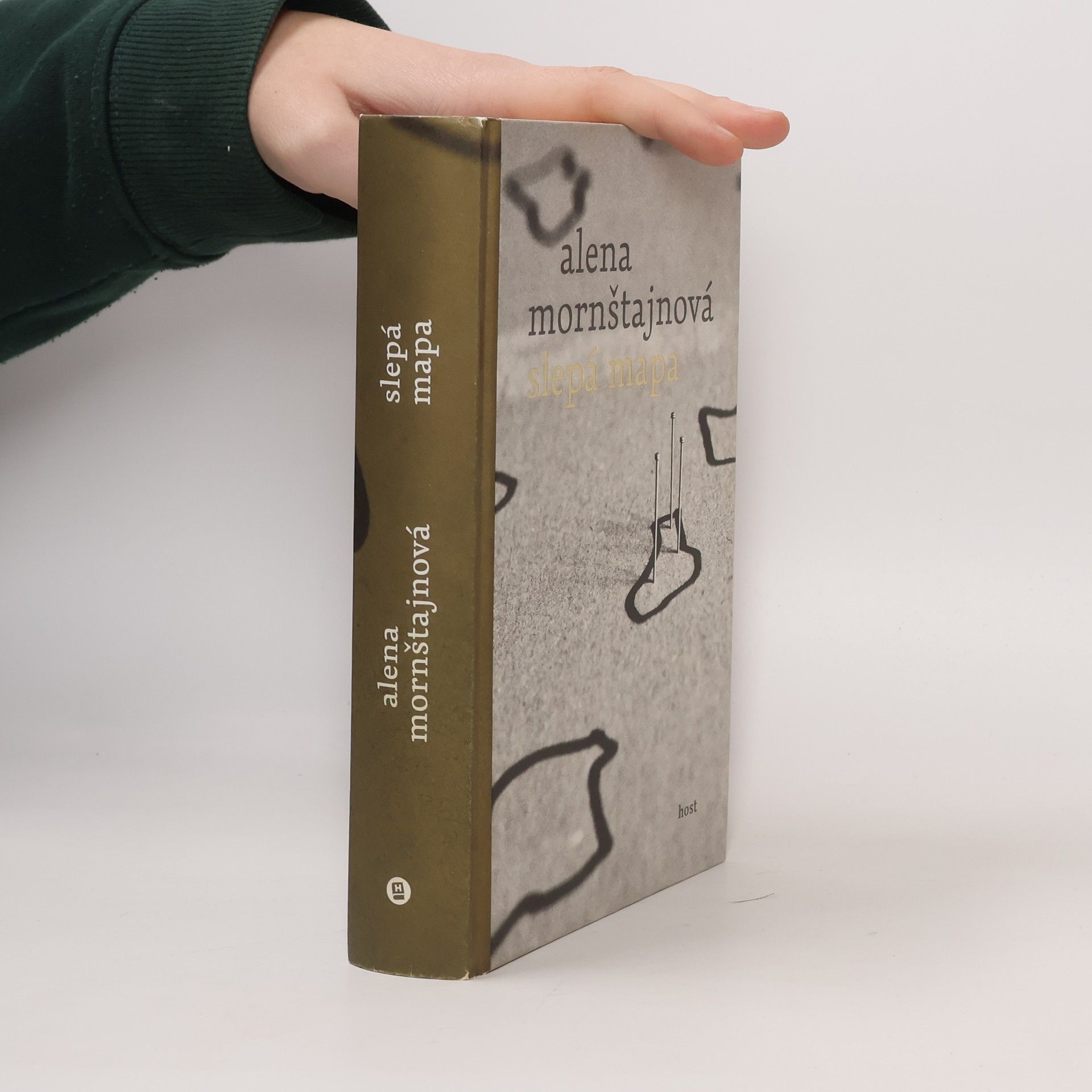 Alena Mornštajnová Slepá mapa
