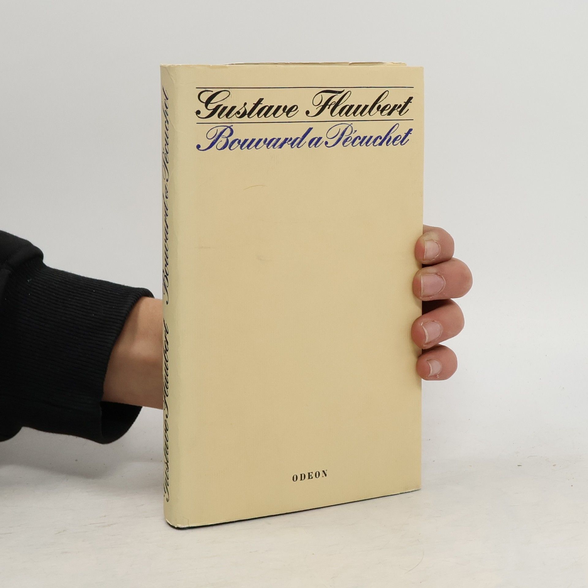 Gustave Flaubert Bouvard a Pécuchet