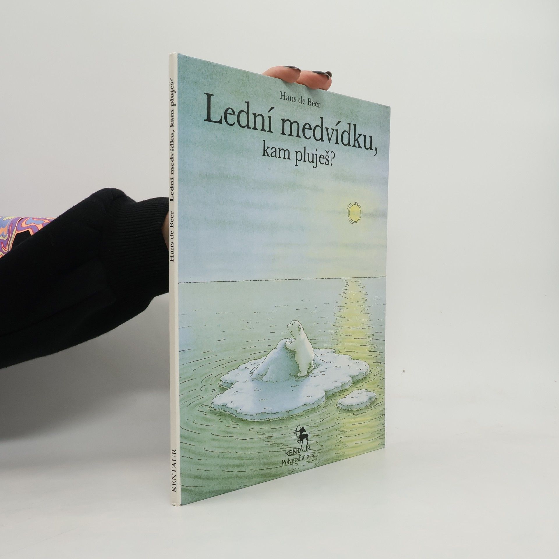 Hans de Beer Lední medvídku, kam pluješ?