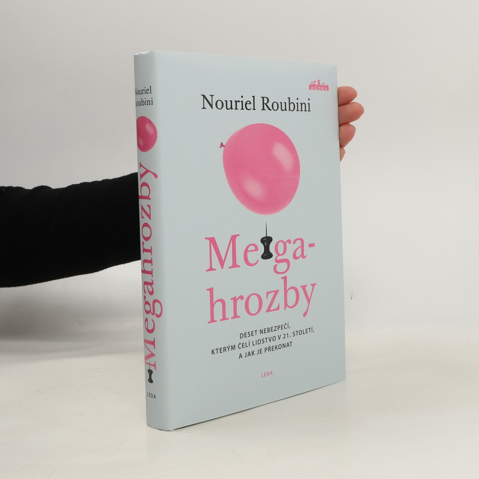 Nouriel Roubini Megahrozby