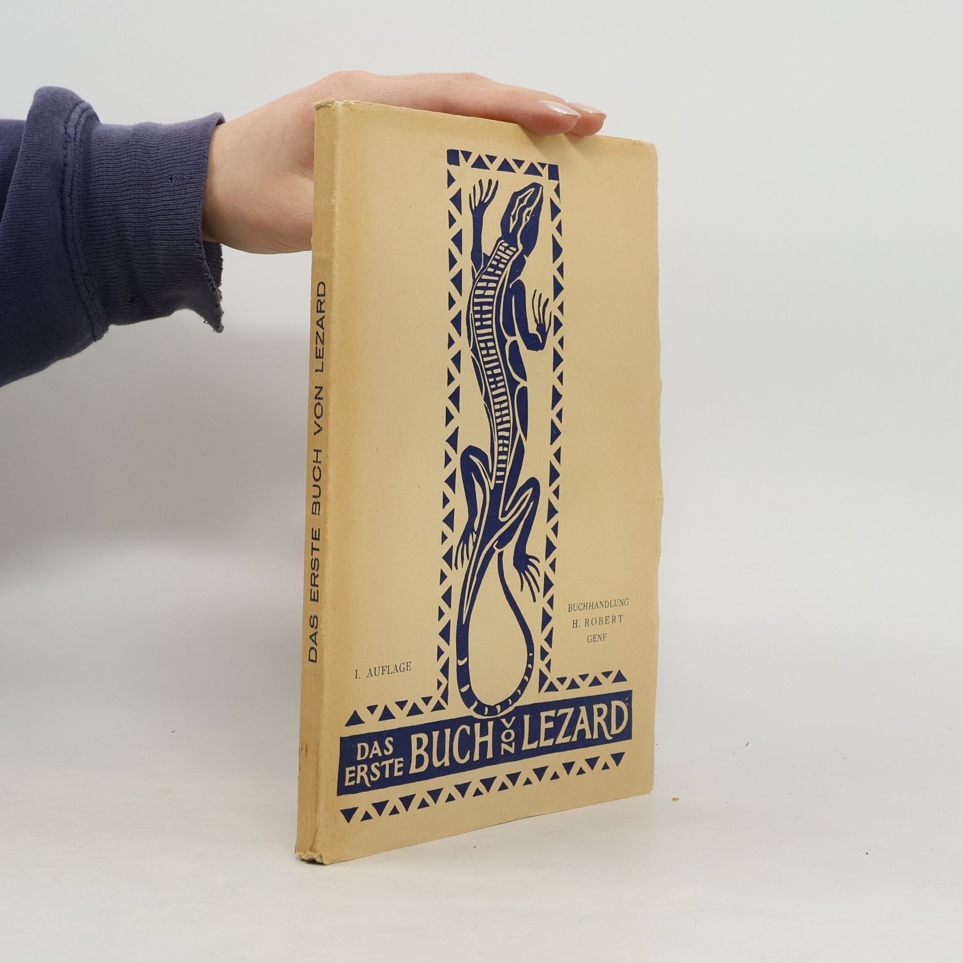 Autorenkollektiv Das erste Buch von Lezard