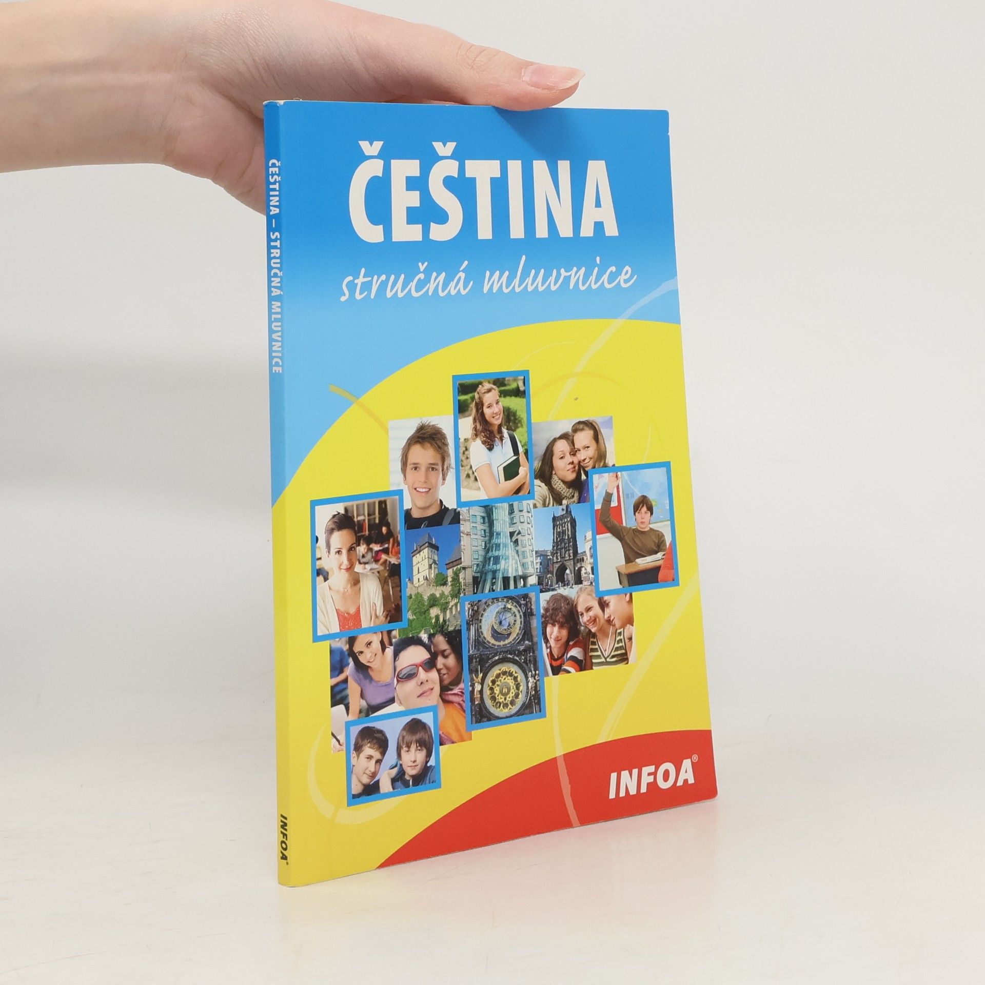 Čeština. Stručná mluvnice