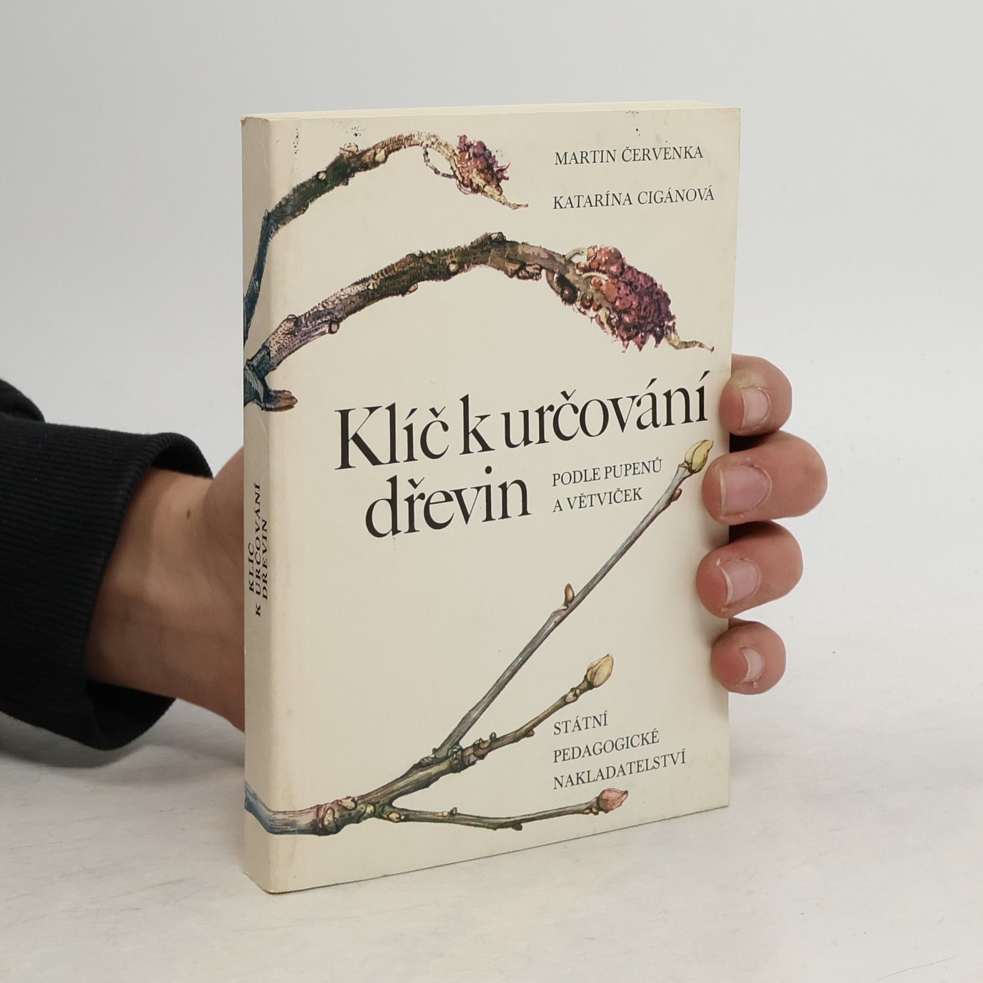 Katarína Cigánová Klíč k určování dřevin podle pupenů a větviček