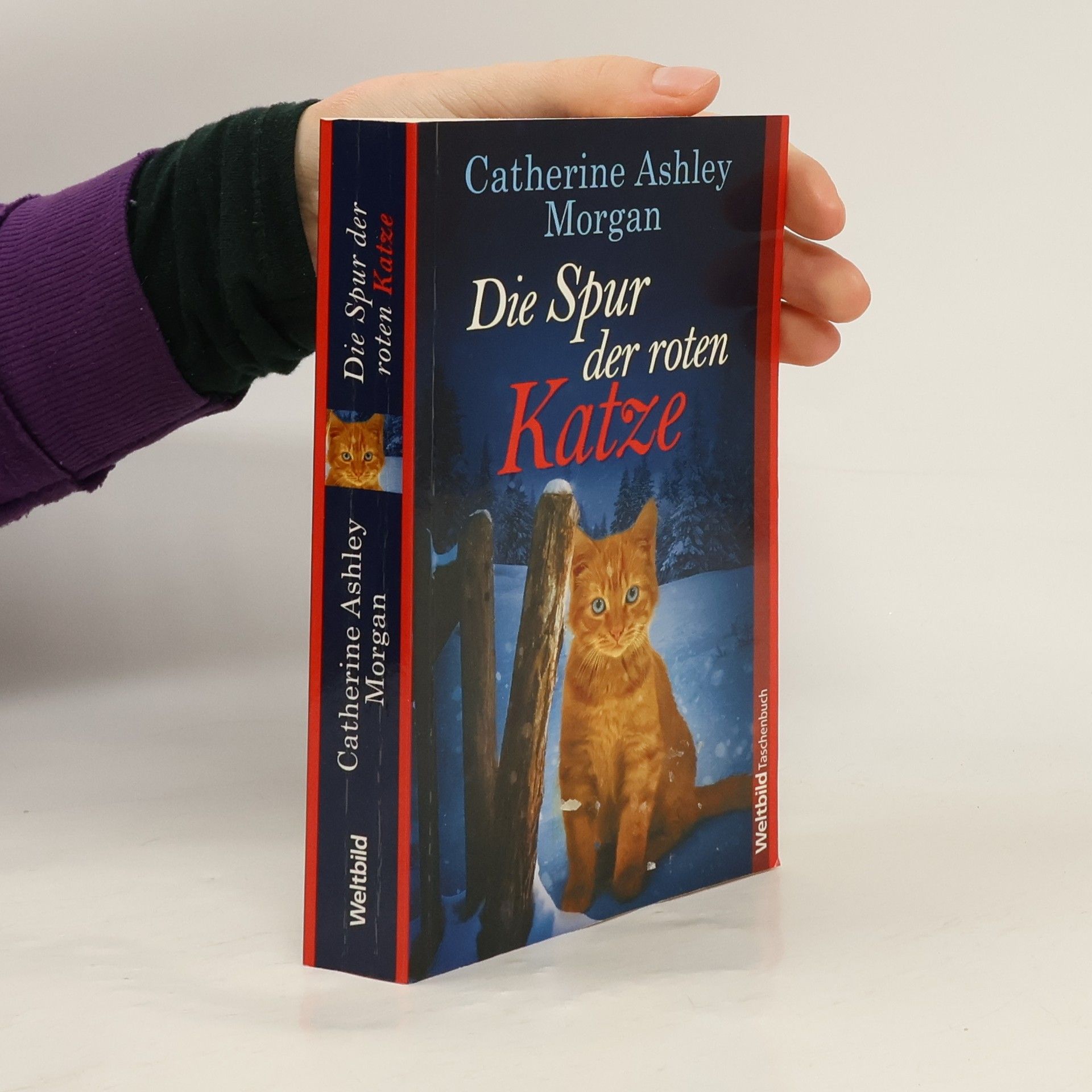 Catherine Ashley Morgan Die Spur der roten Katze