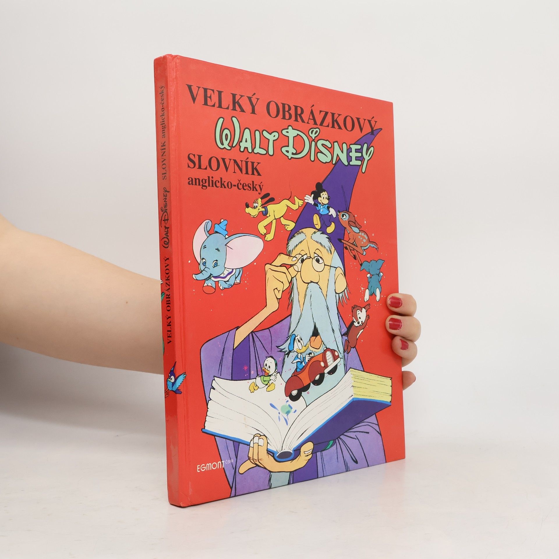 Walt Disney Velký obrázkový slovník anglicko-český