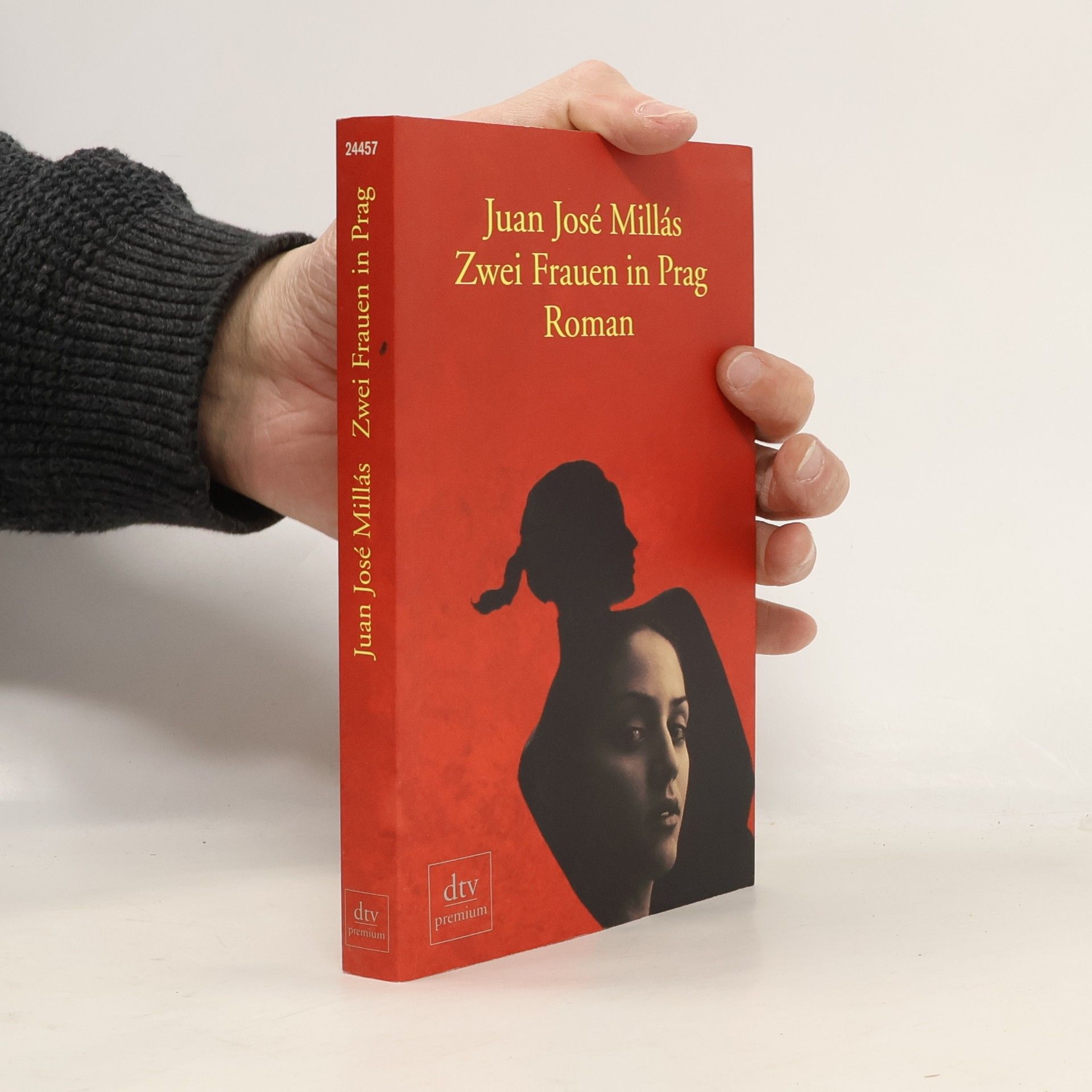 Juan José Millás García Zwei Frauen in Prag