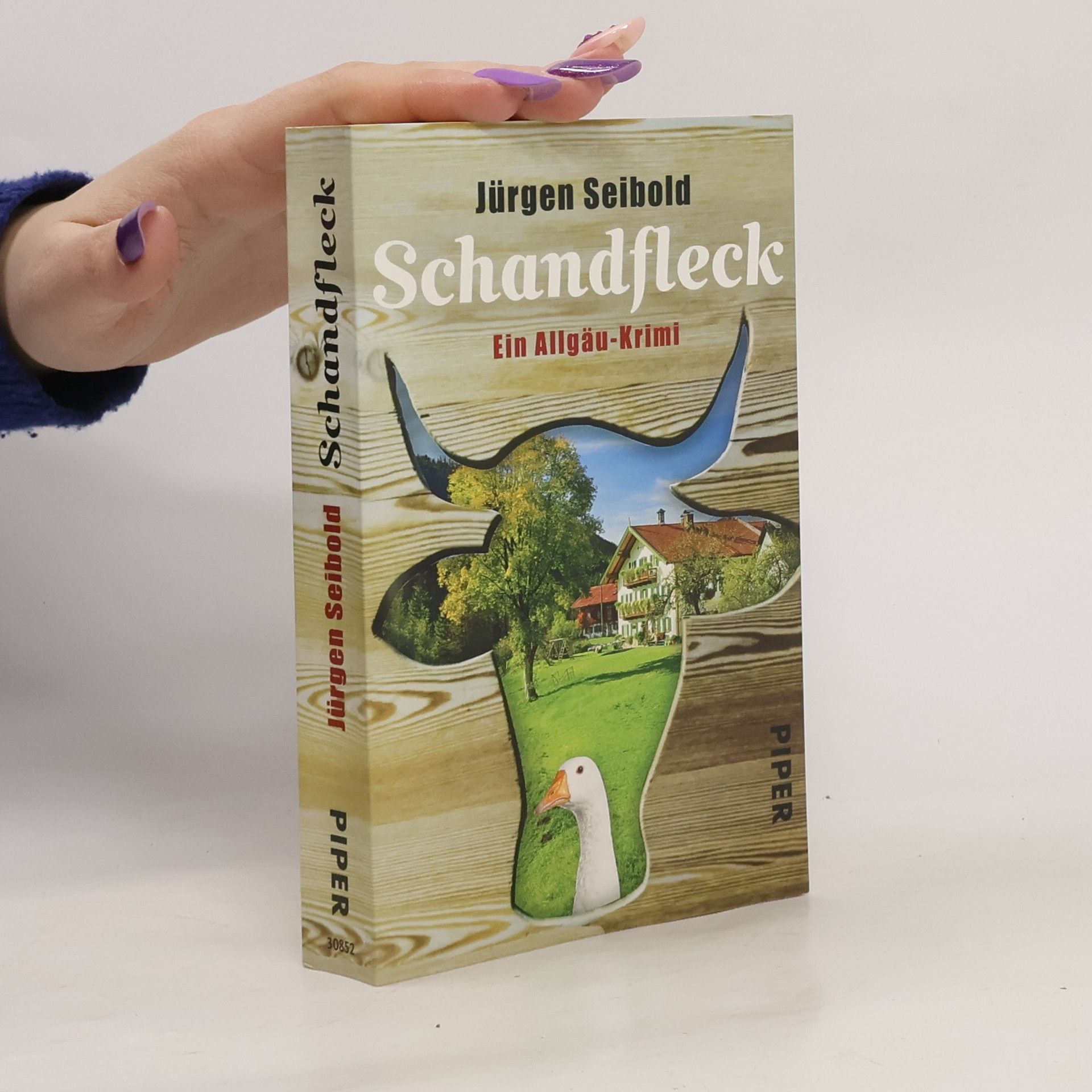 Jürgen Seibold Schandfleck