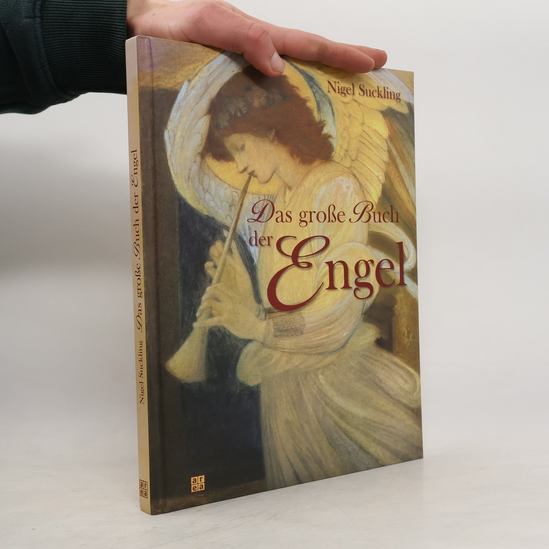 Nigel Suckling Das große Buch der Engel